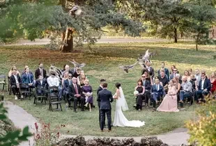 Wedding in the Park