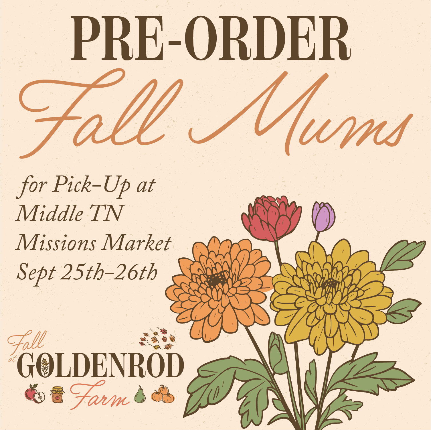 Fall Mums - Missions Market Pick-Up Sept 25th & 26th