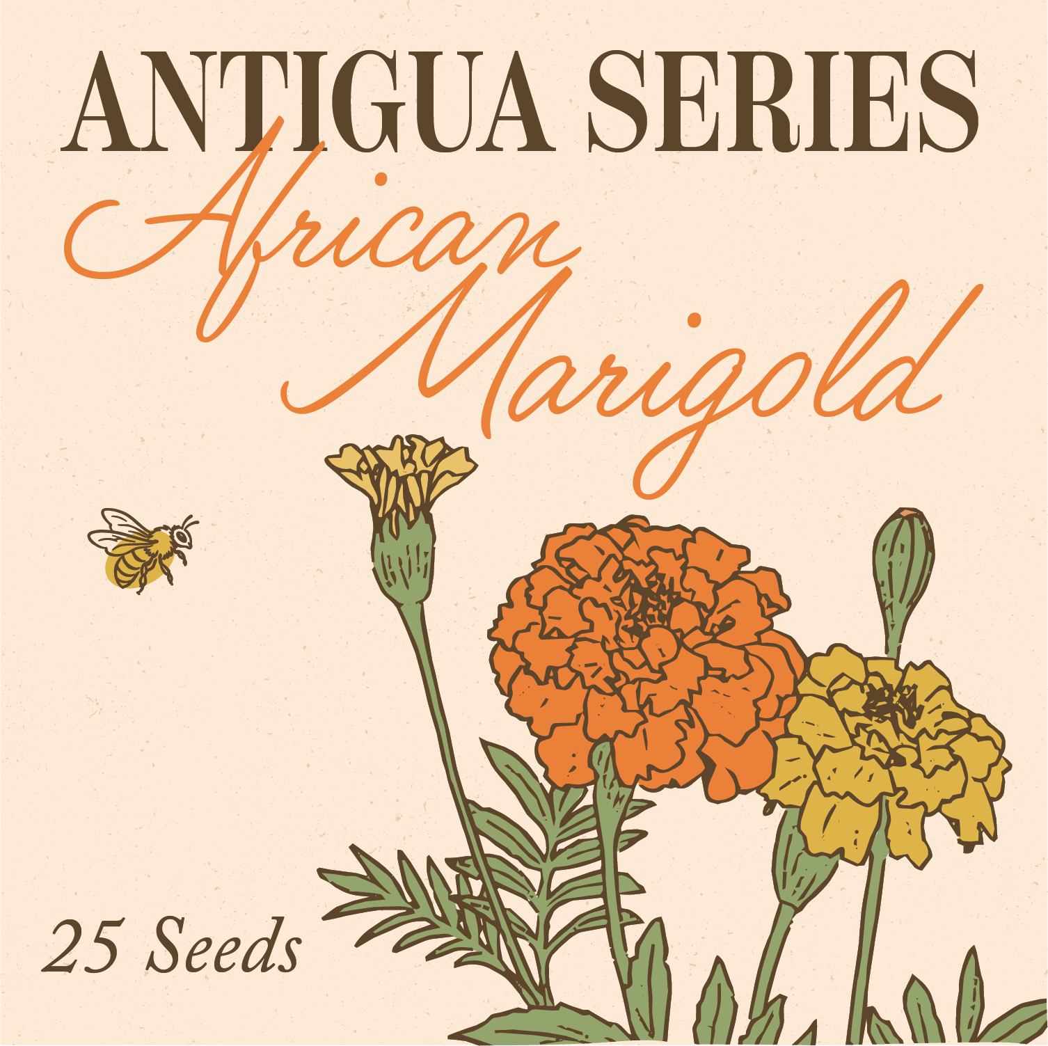 Antigua Series African Marigold Seeds