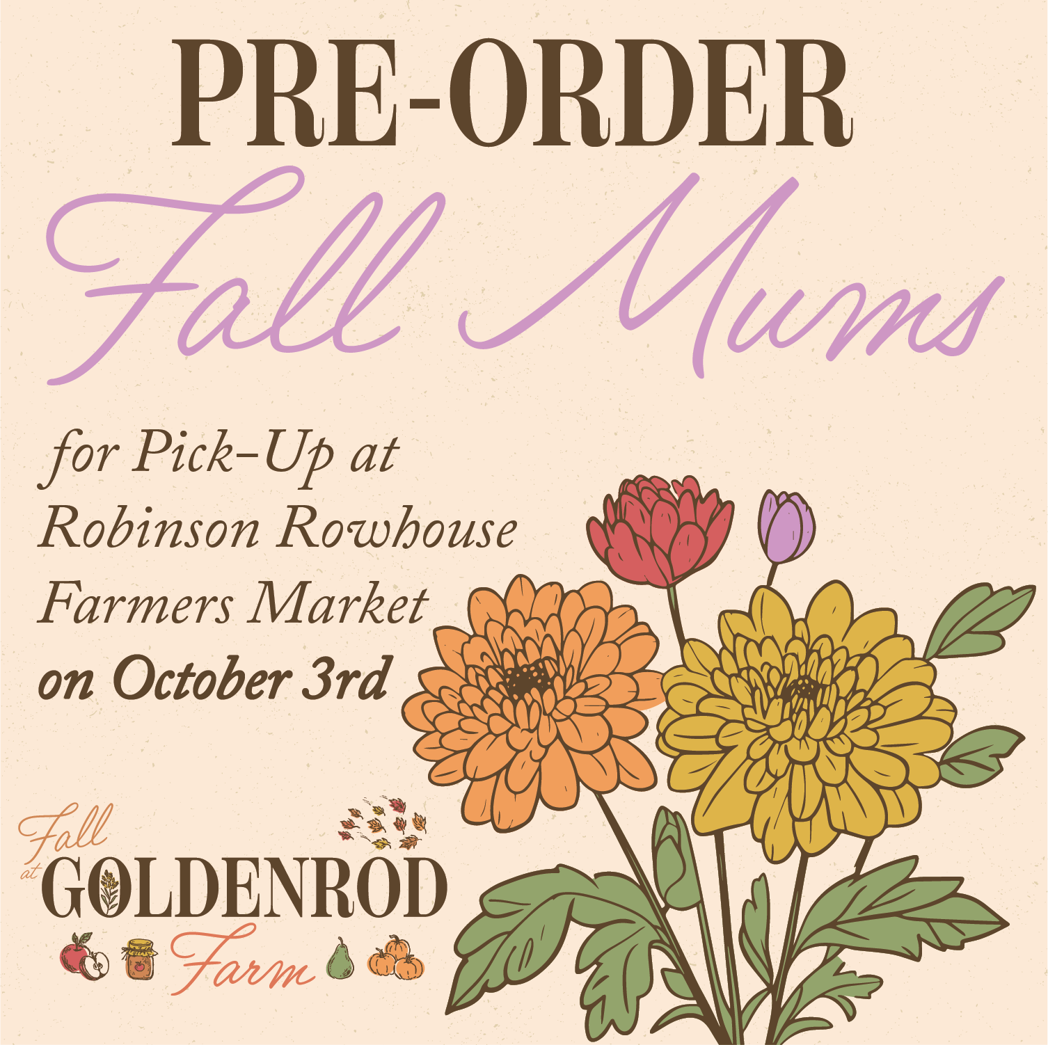 Fall Mums - RobRow Farmers Market Pick-Up Oct 3rd