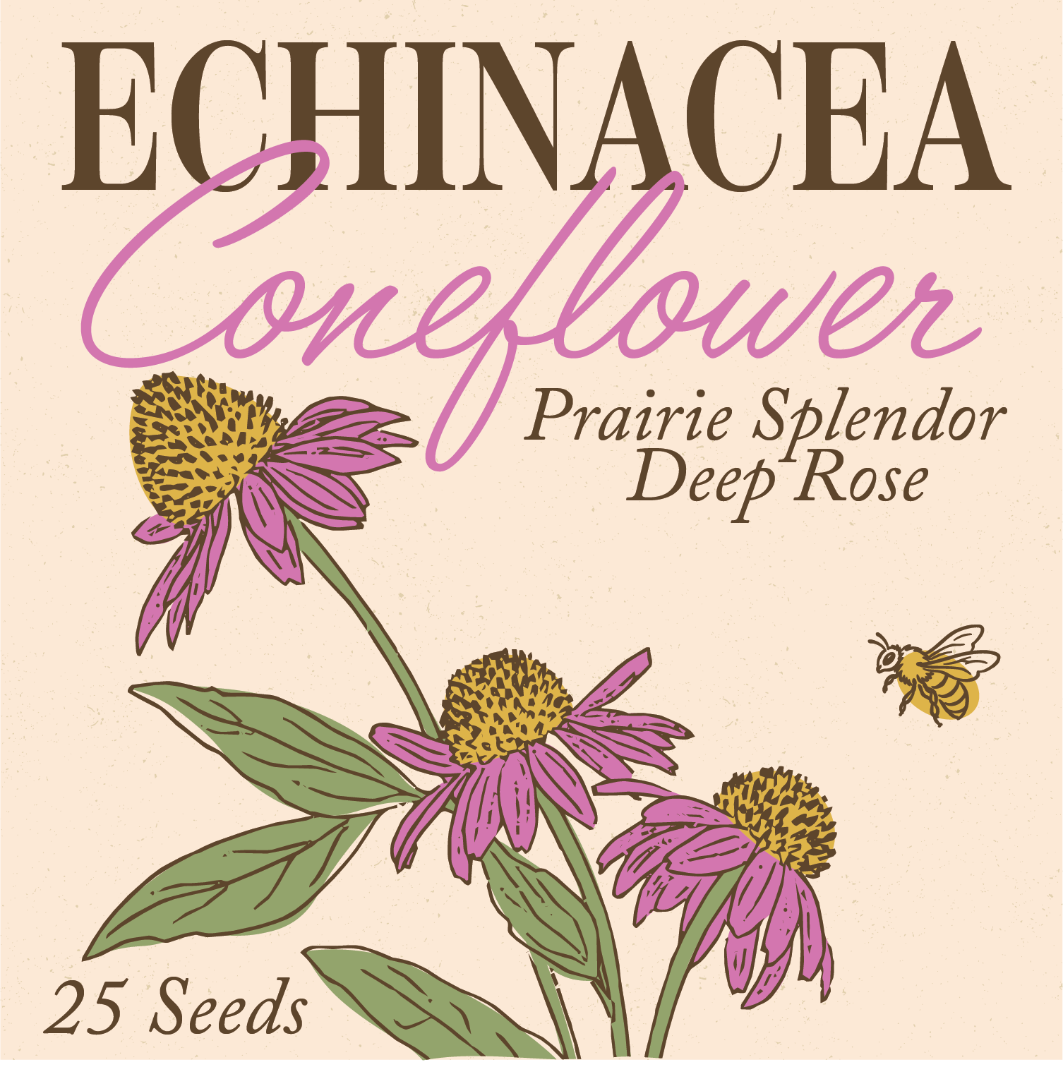 Deep Rose Prairie Splendor Coneflower Seeds
