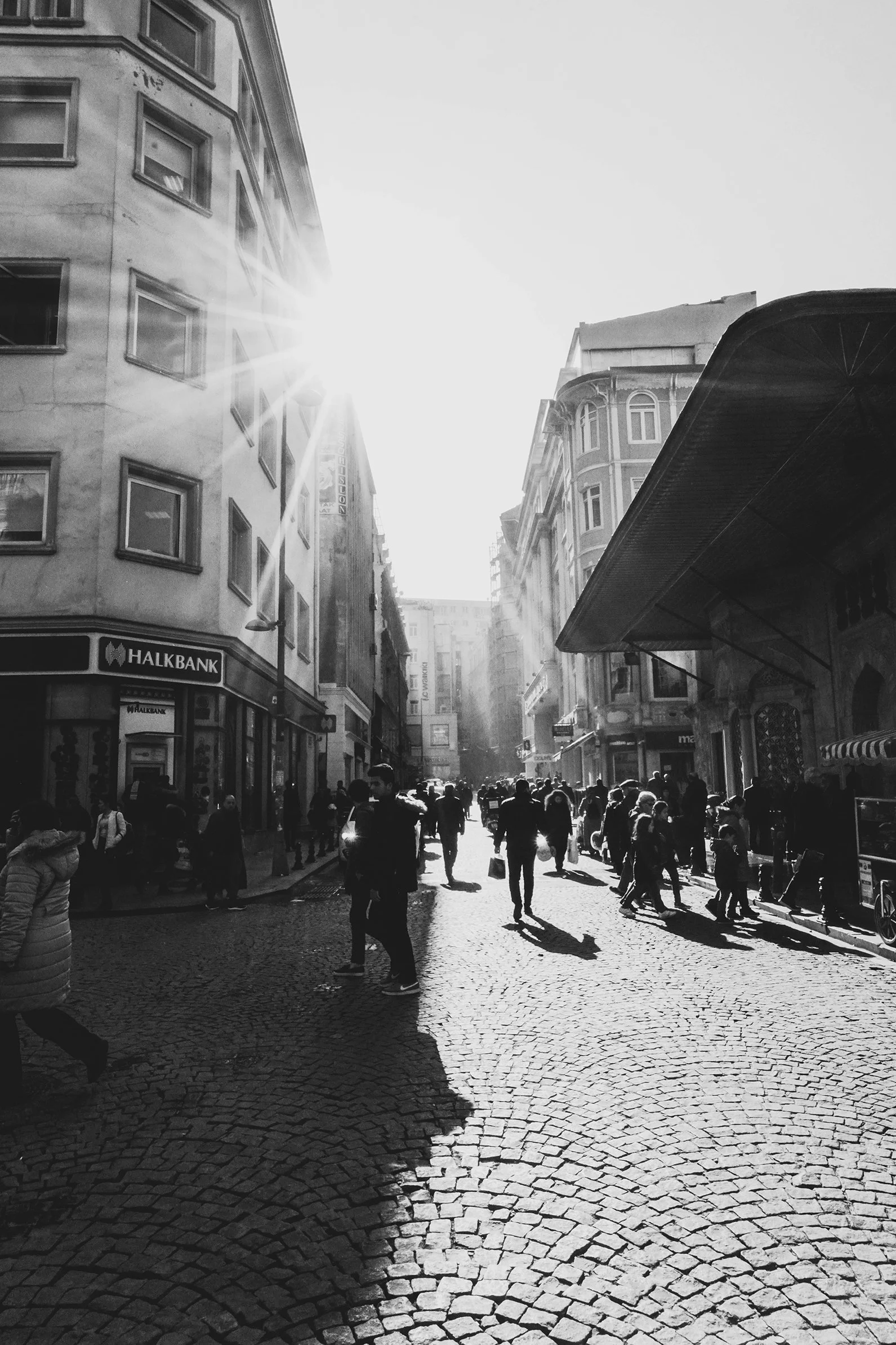 DSC00679.jpeg