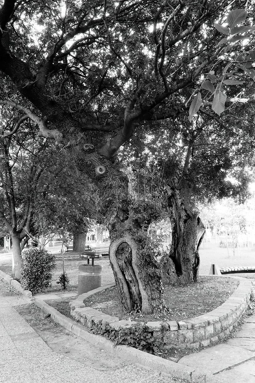 DSC04523.jpeg