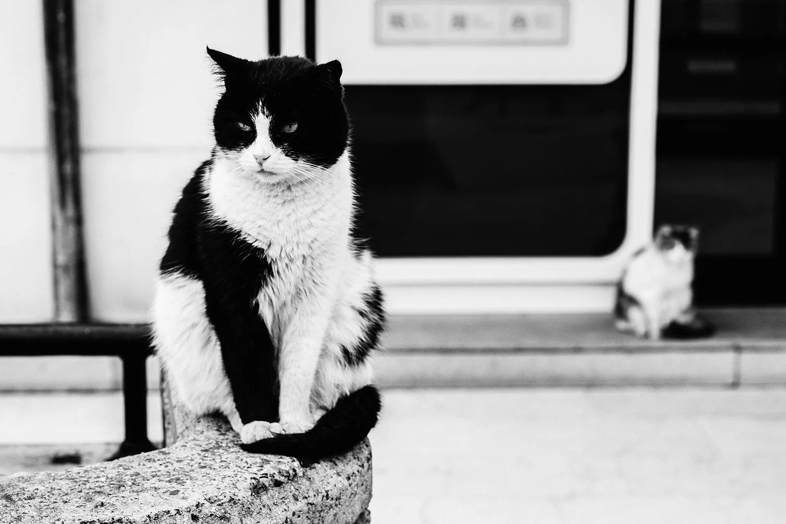 20160213-DSC01423.jpeg