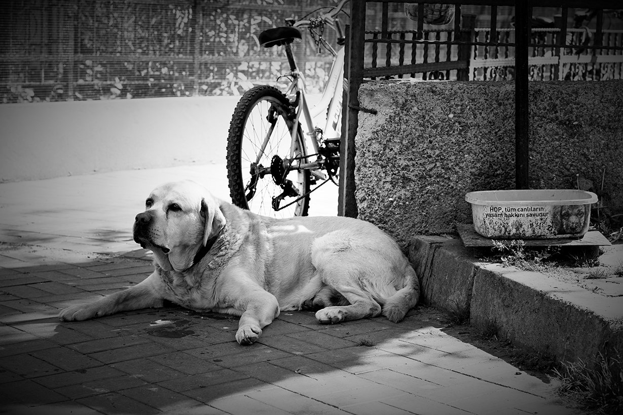 20160530-Sight_2016_05_30_141414_497.jpeg