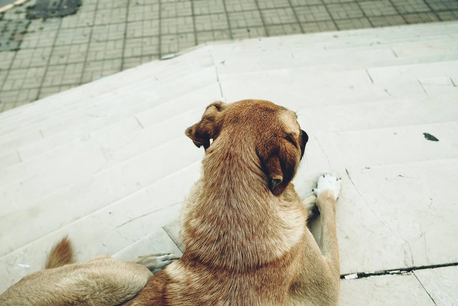 DSC08684.jpeg