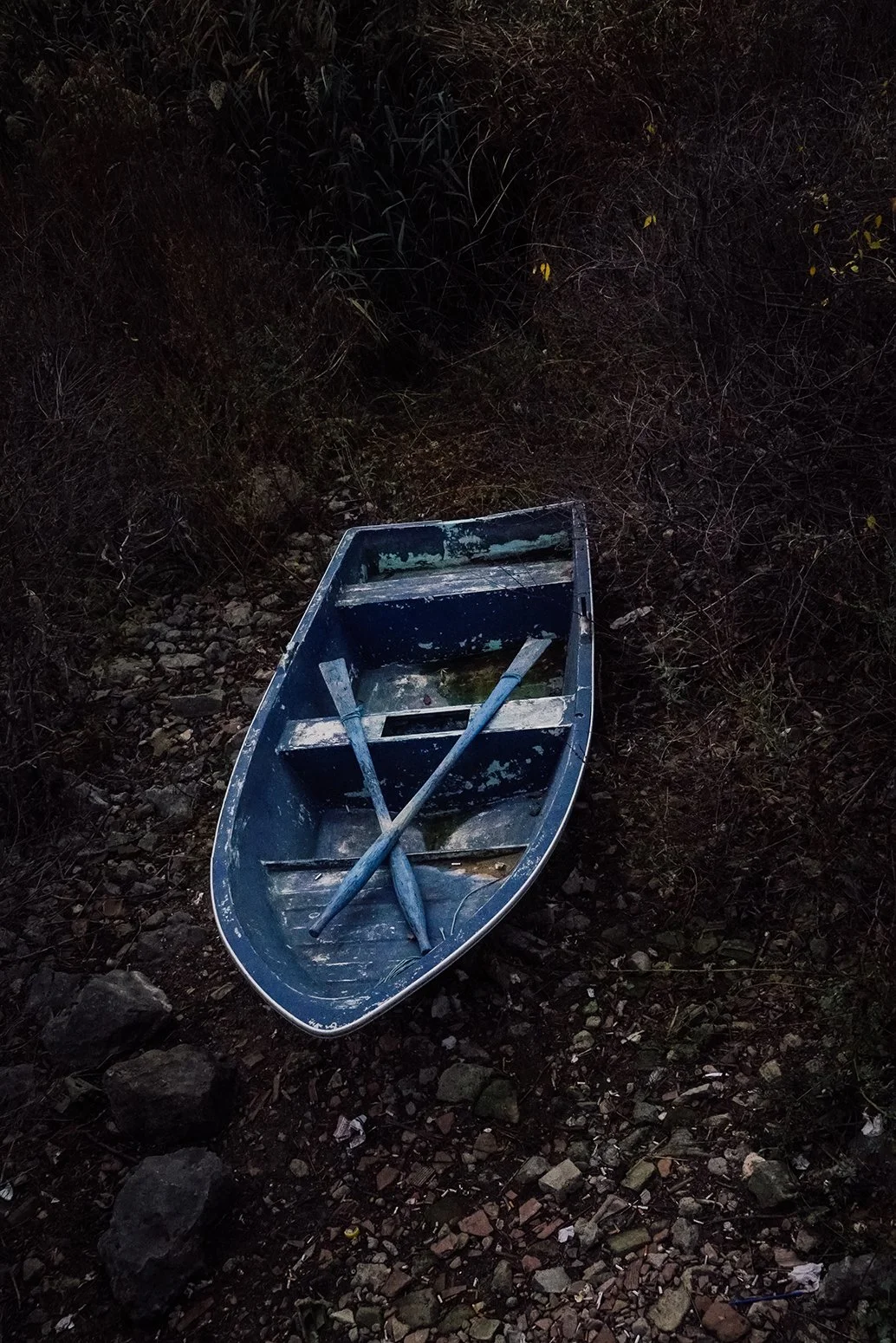 DSC09926.jpeg