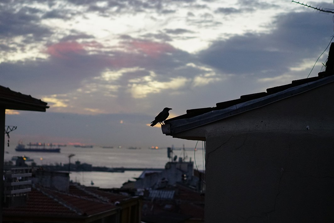 DSC05132.jpeg