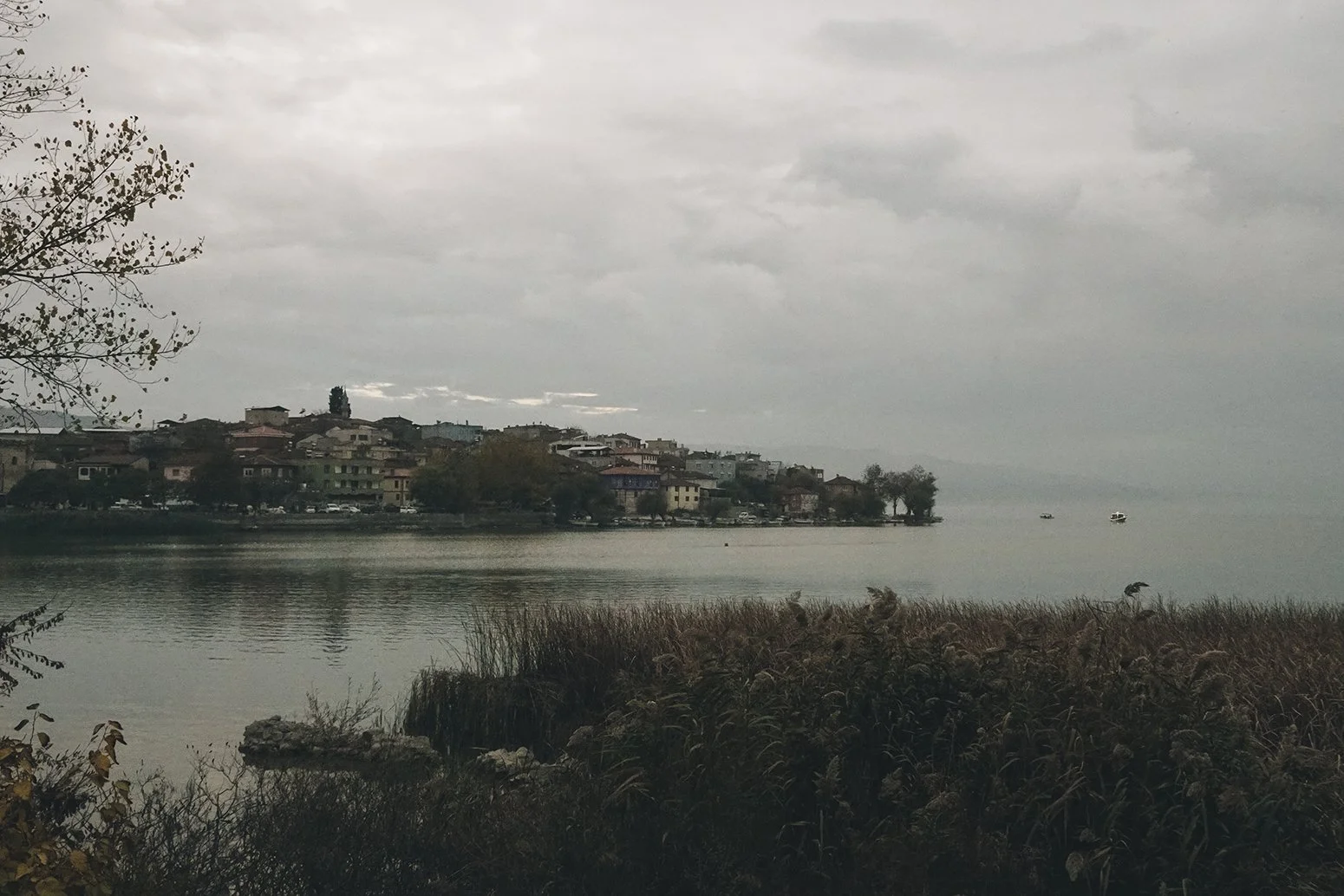 DSC09910.jpeg