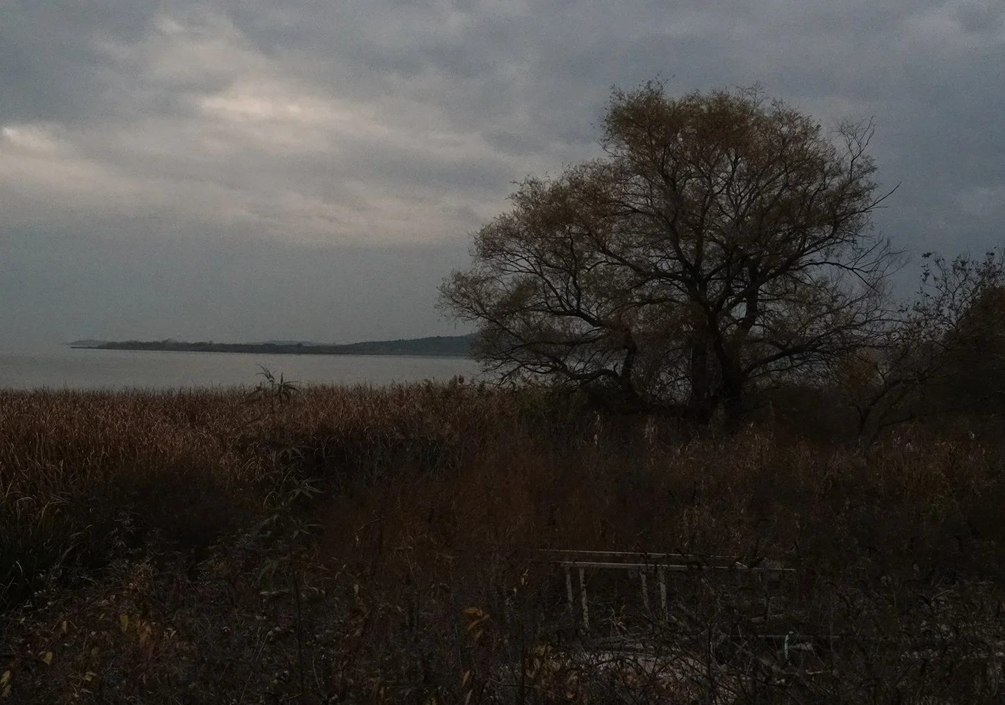 DSC09923.jpeg