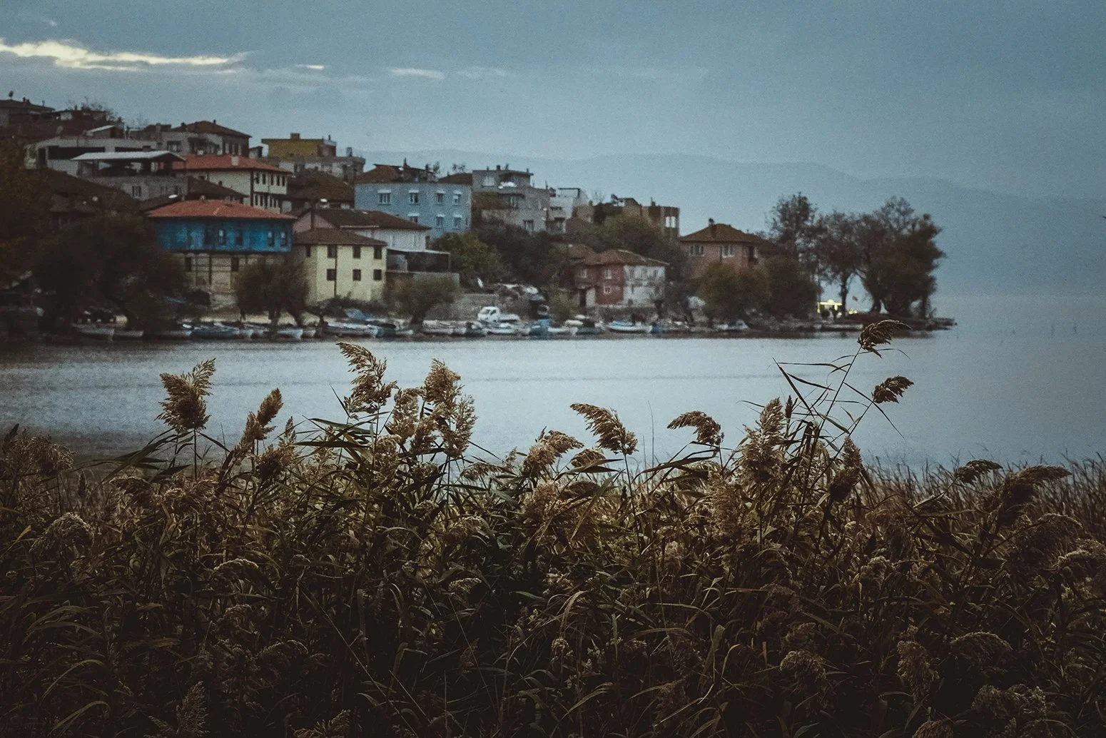 DSC09928.jpeg