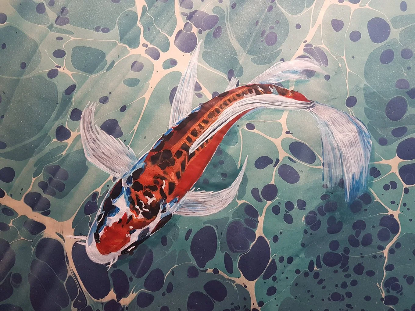 Japon Koi Balığı