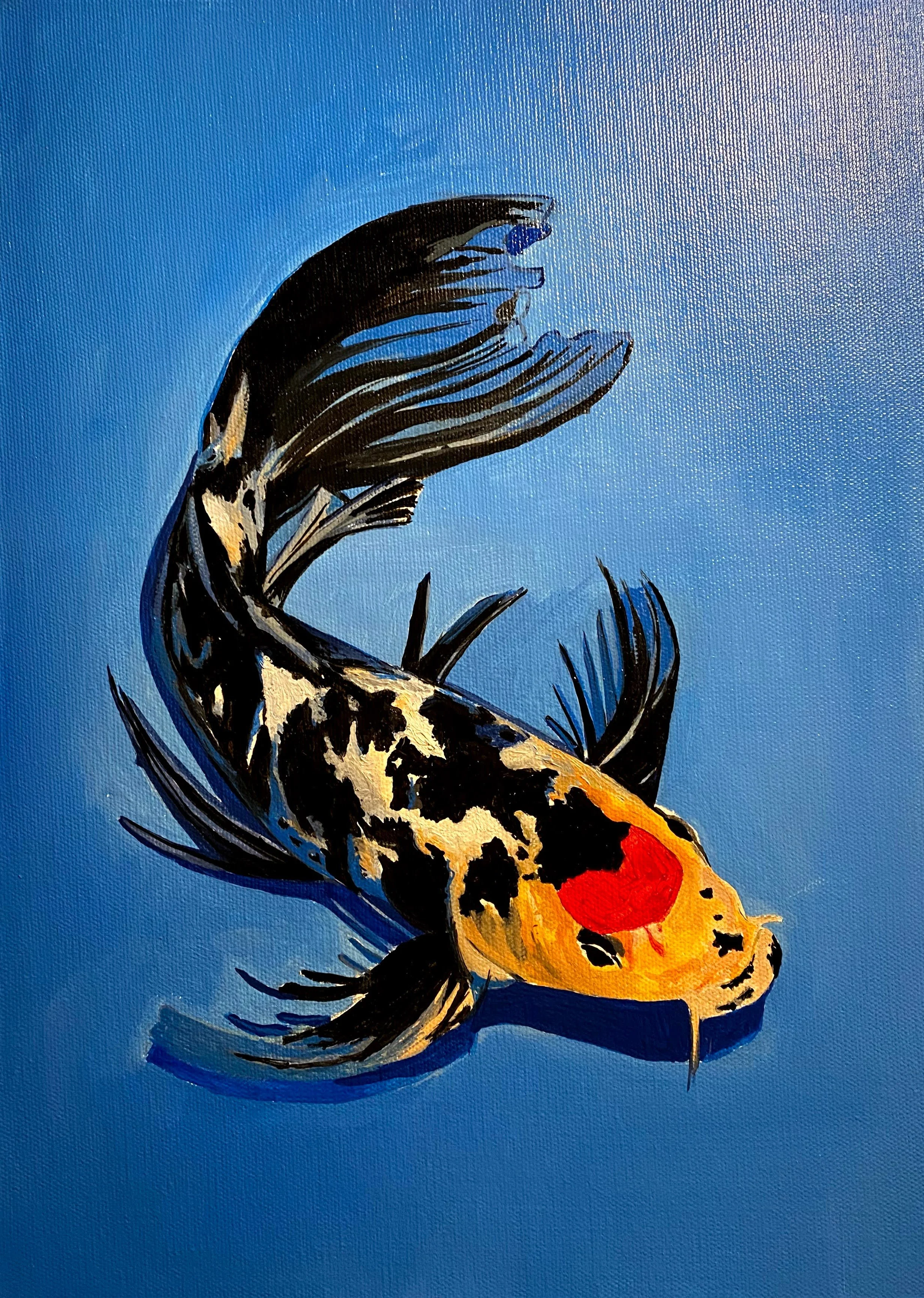 Japon Koi Balığı