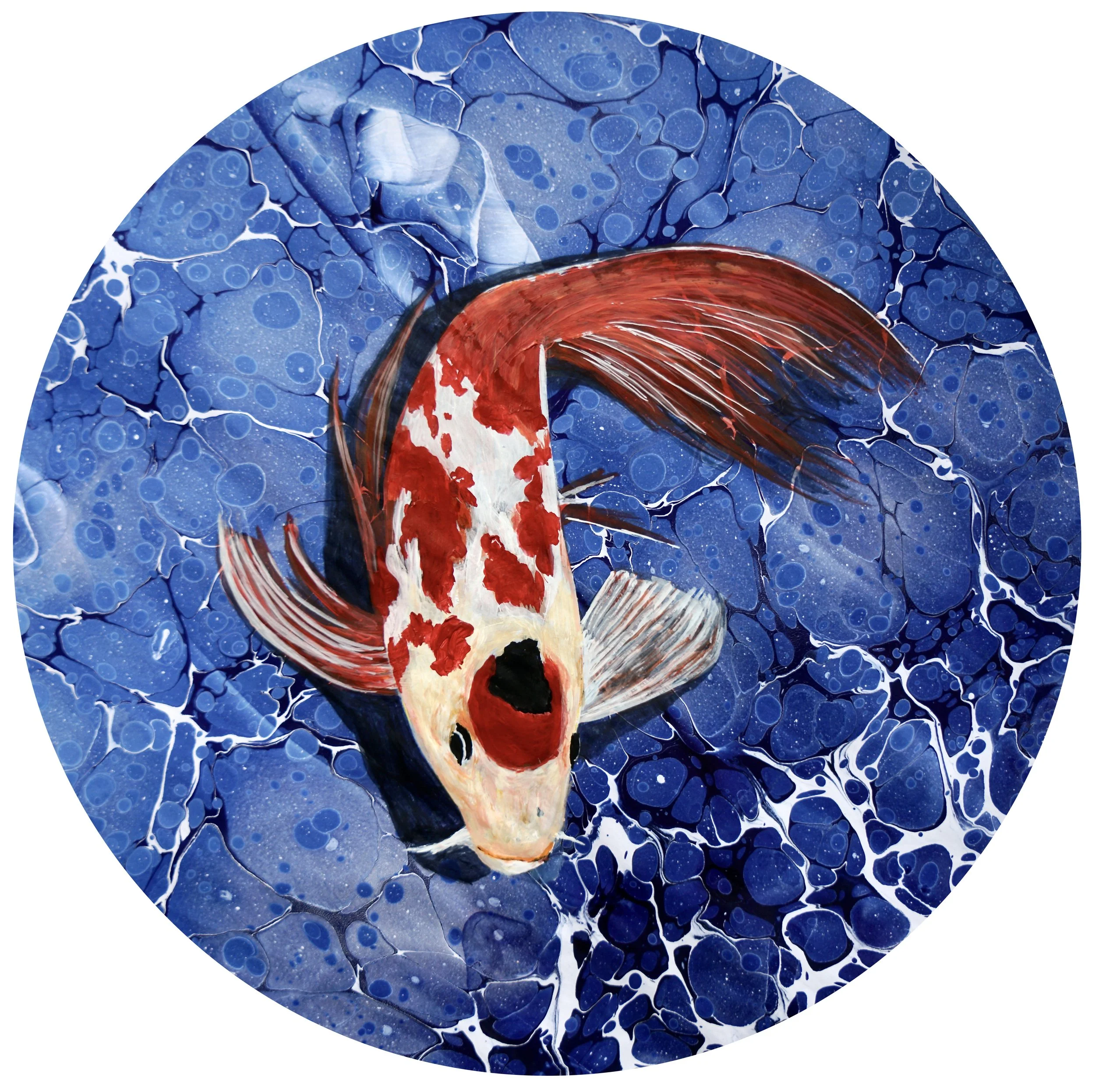 Japon Koi Balığı