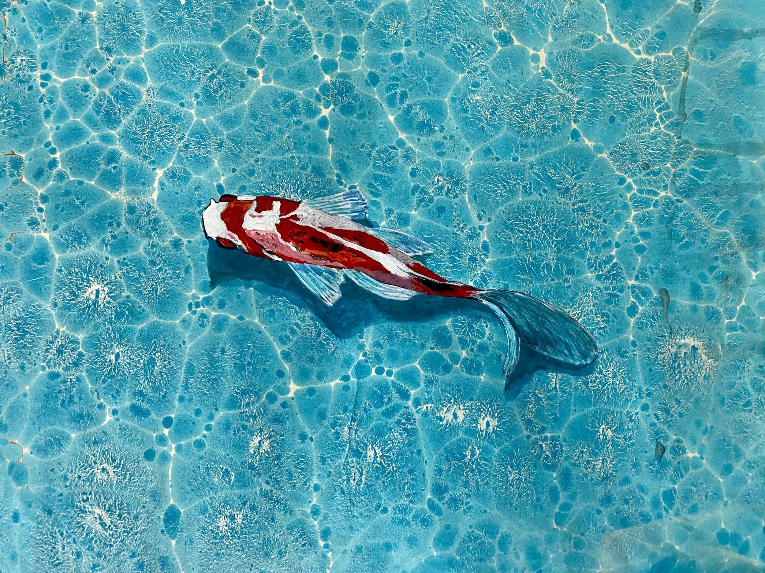 Koi Balığı