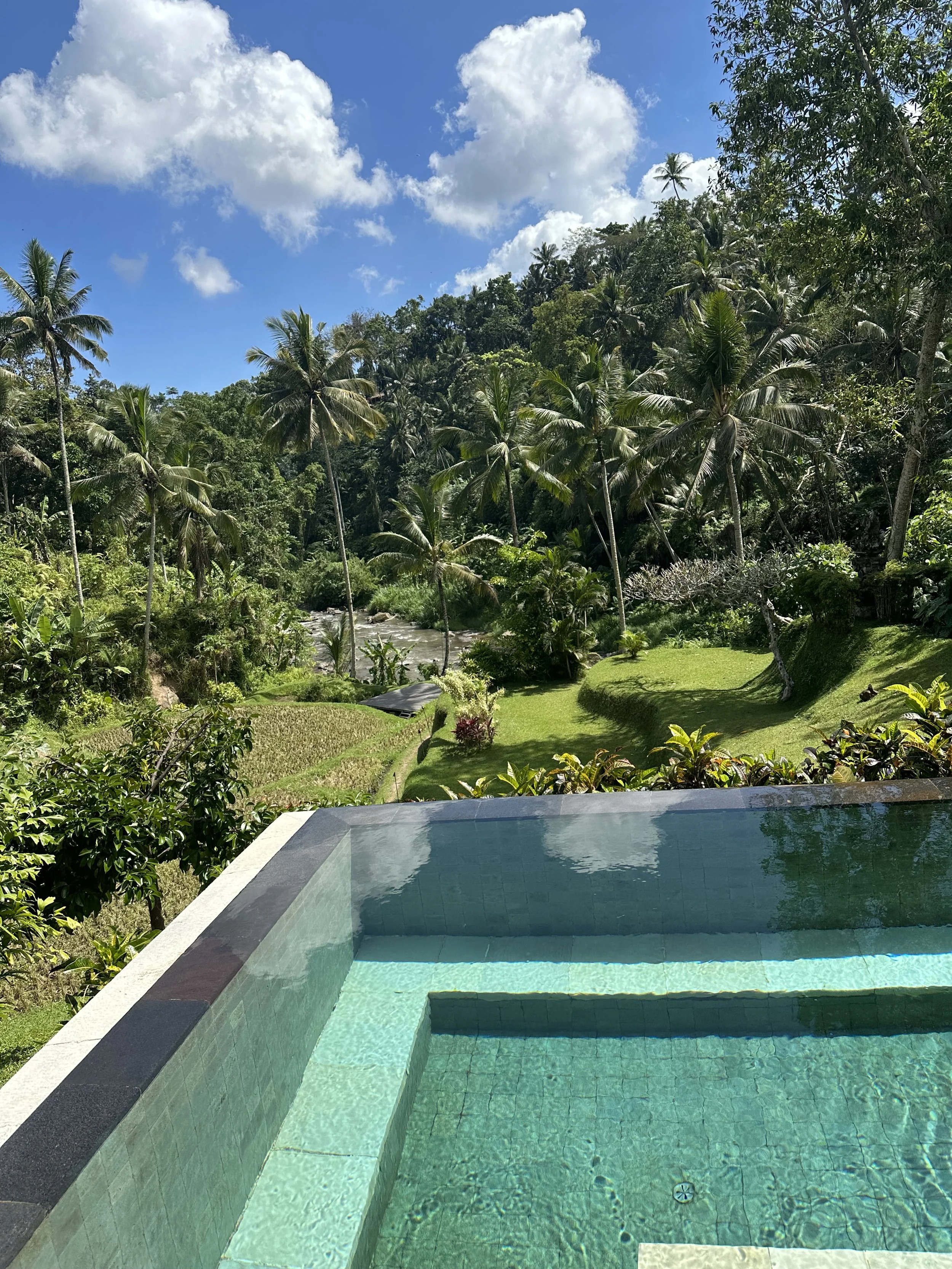 A view of a background with a bright blue sky with white clouds, green palm trees, lush vegetation, and a water feature in the foreground, possibly a swimming pool or pond.