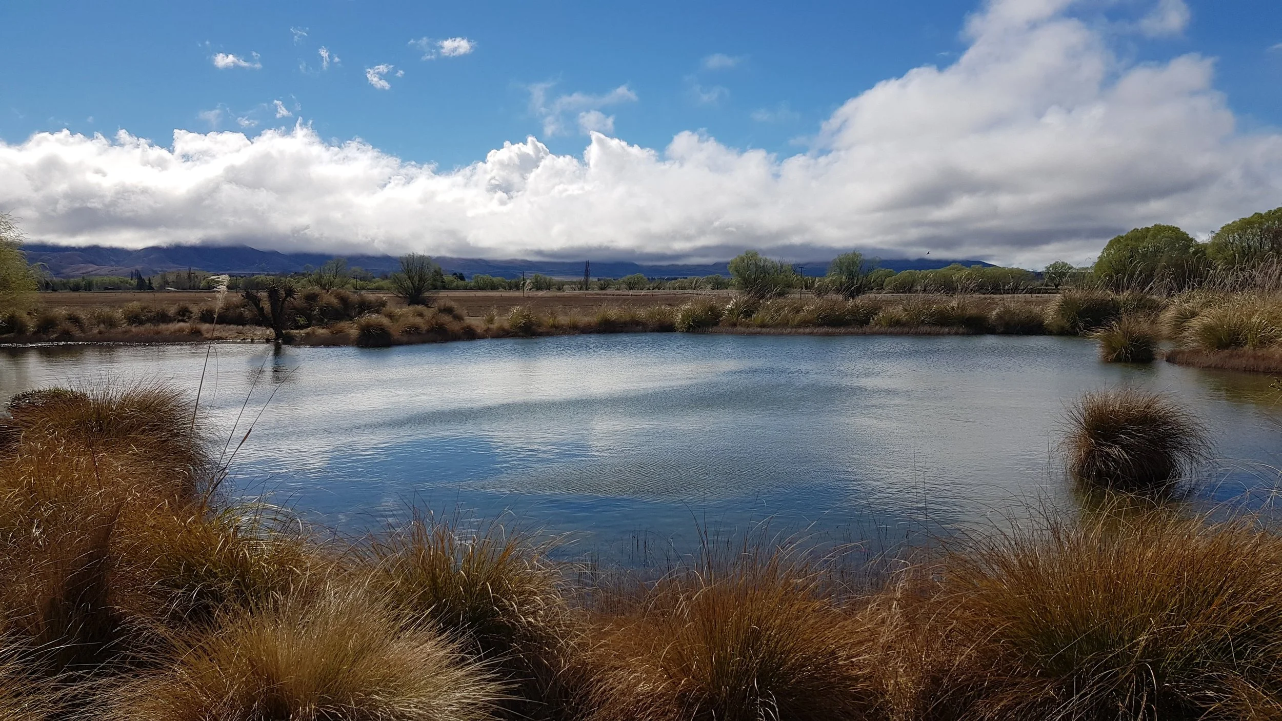 New Zealand 