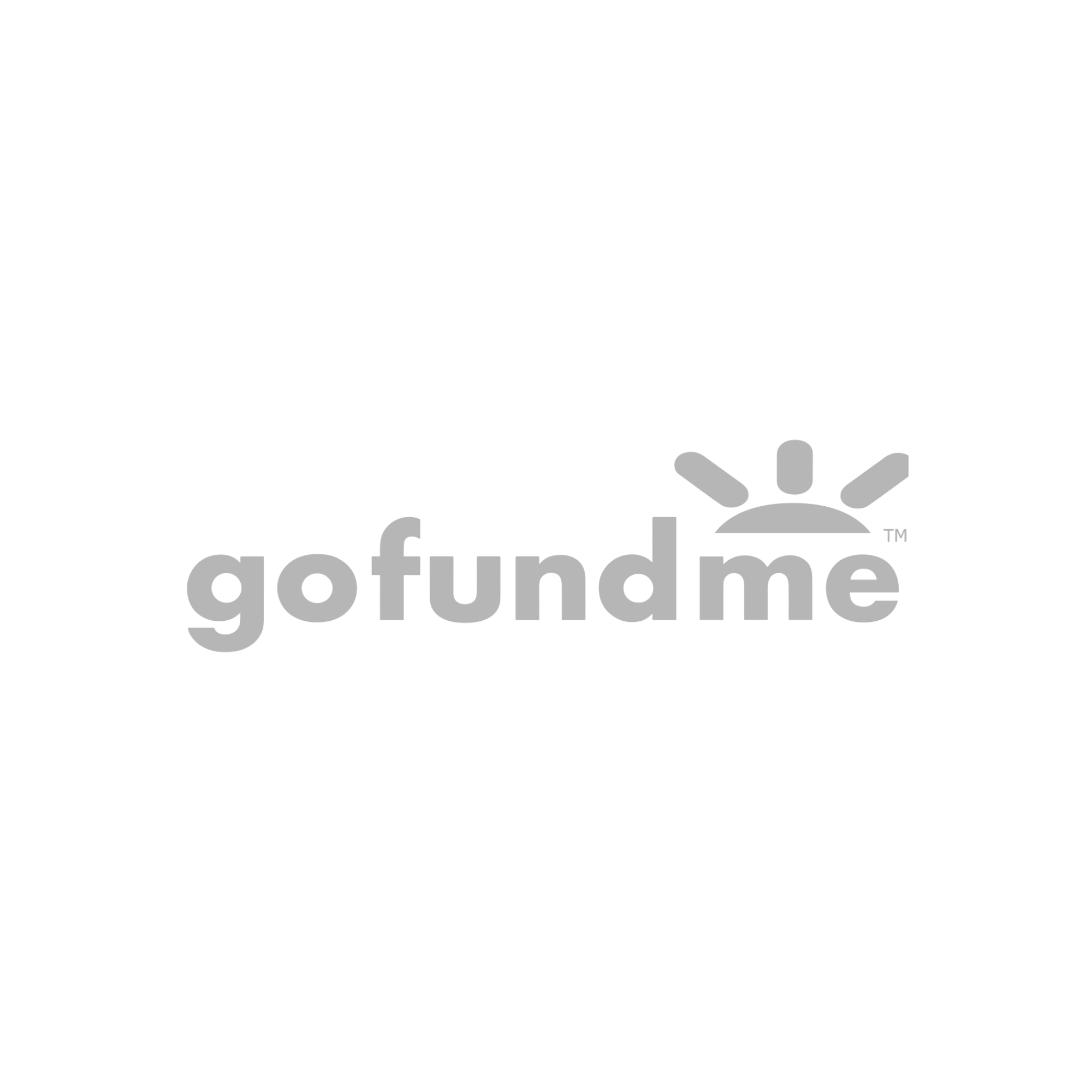 "Go Fund Me" logo under the MCS Client Partners section on the home page