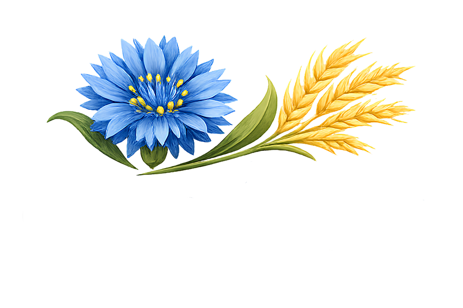 Cornflower Bookkeeping