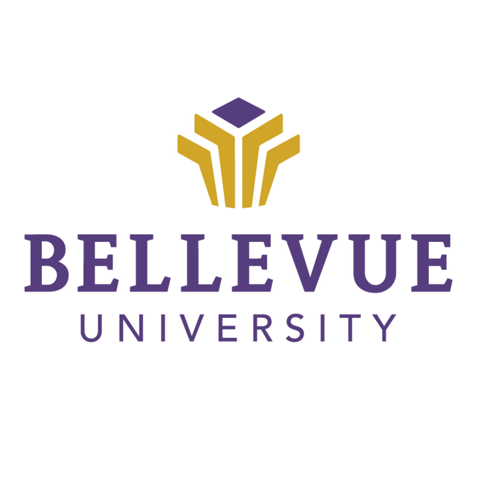 Bellevue University