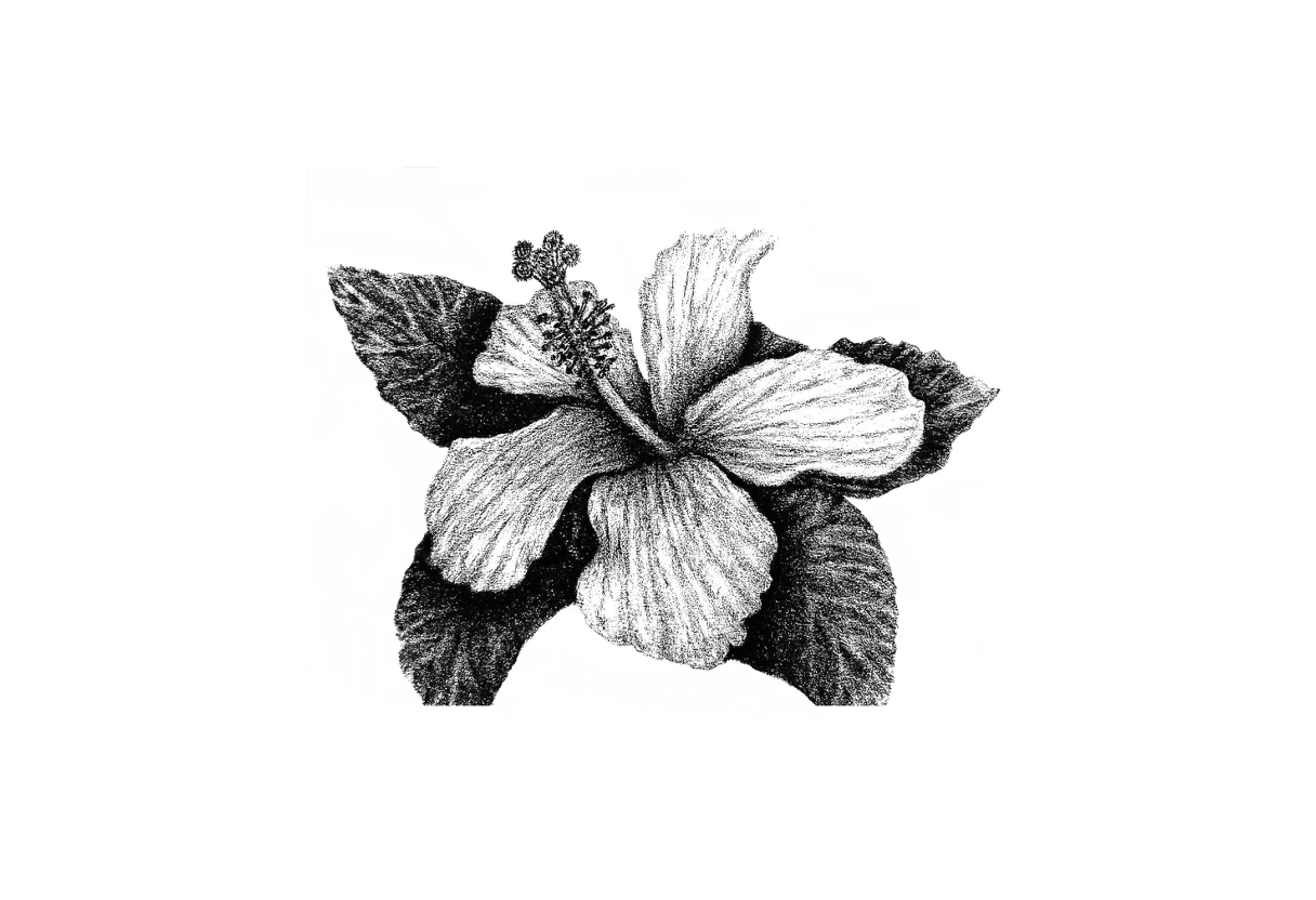 Image 7-28-26 at 8.15 PM.png