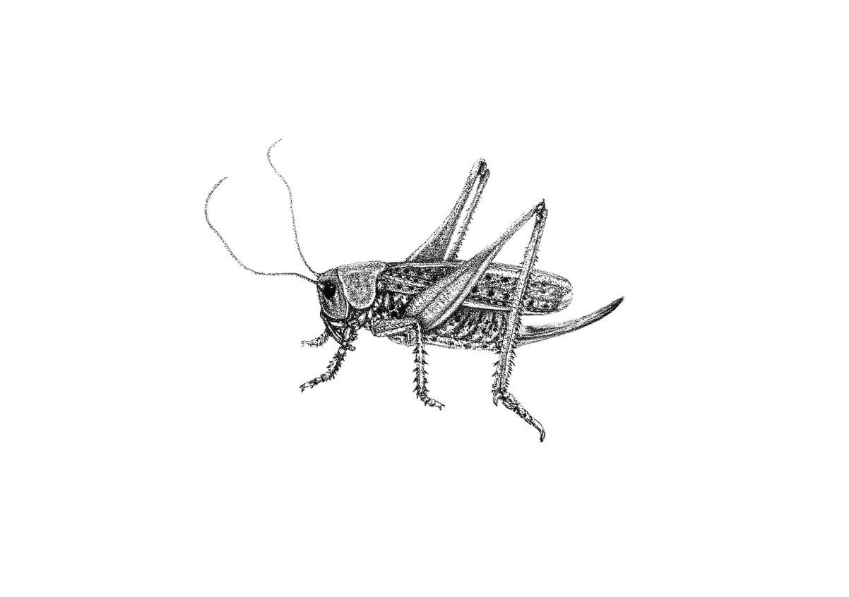 Image 7-21-26 at 3.10 PM.png