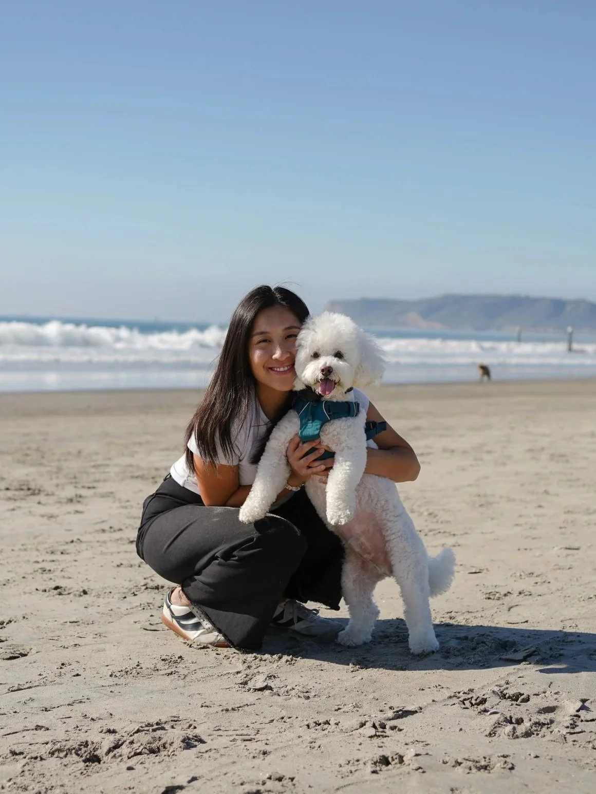 A woman in black pants and a white t-shirt squatting on the sandy beach, holding a white poodle with a harness, under a clear blue sky, with the ocean and distant hills in the background.