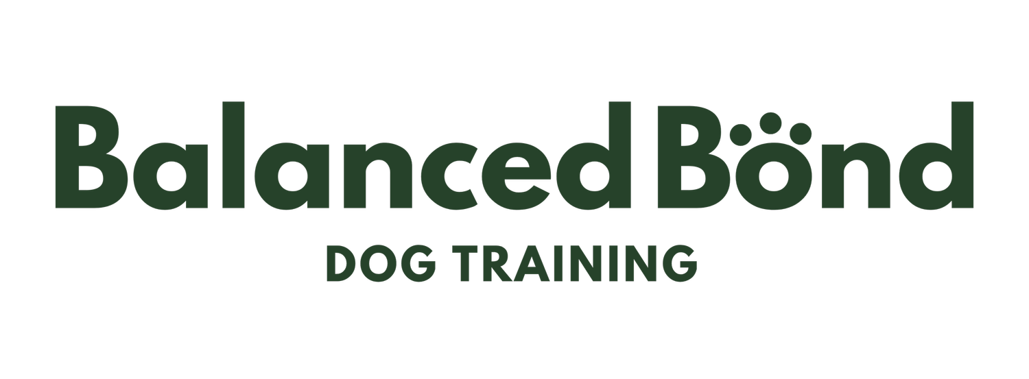 Balanced Bond Dog Training