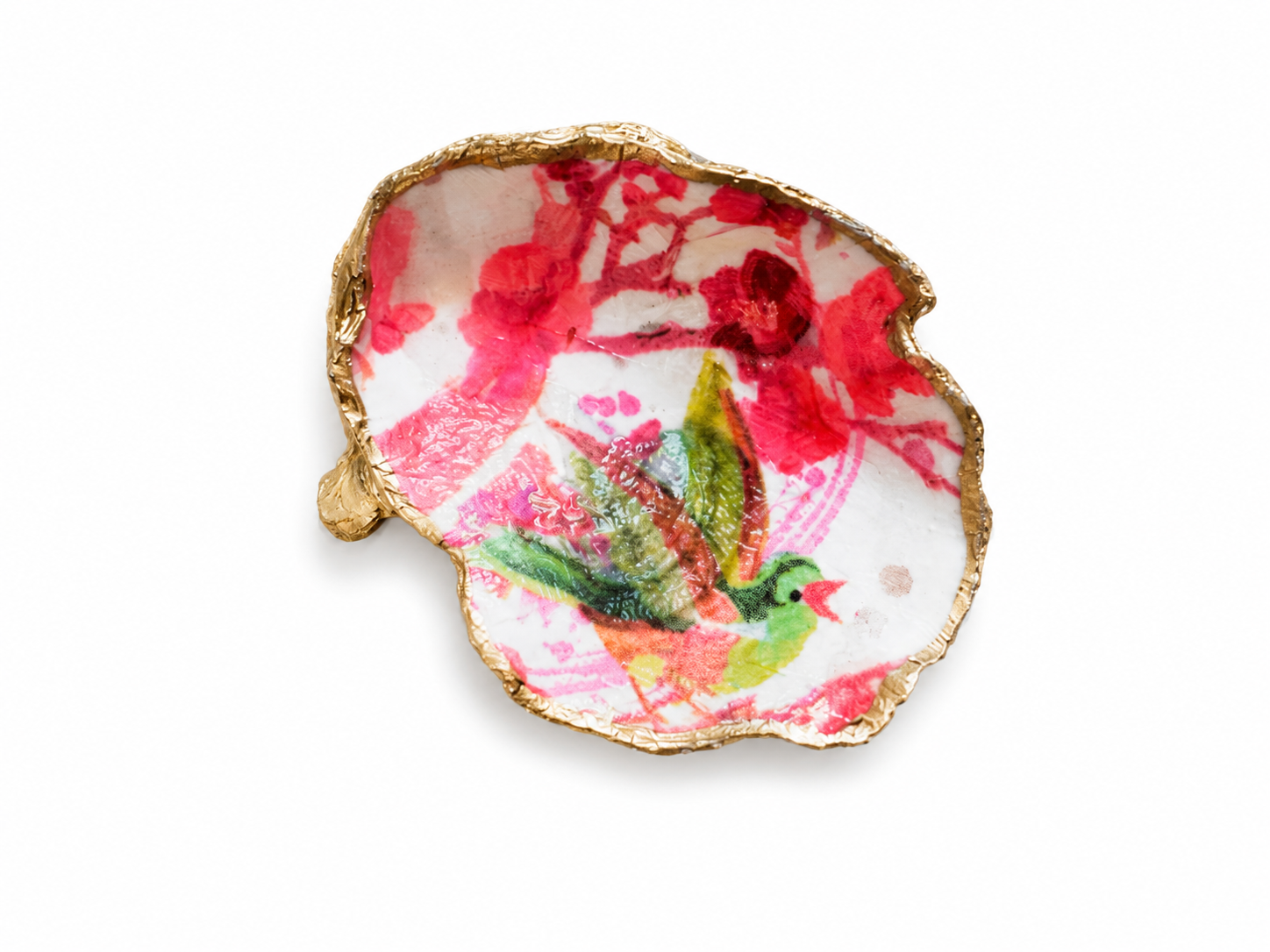 Oyster bird.png