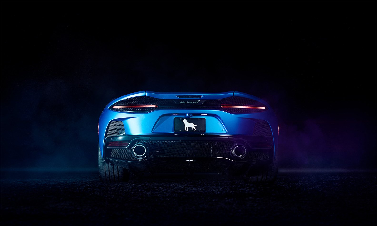 Back view of a sleek blue sports car at night, with illuminated taillights, dual exhaust pipes, and a black license plate featuring a white dog silhouette.