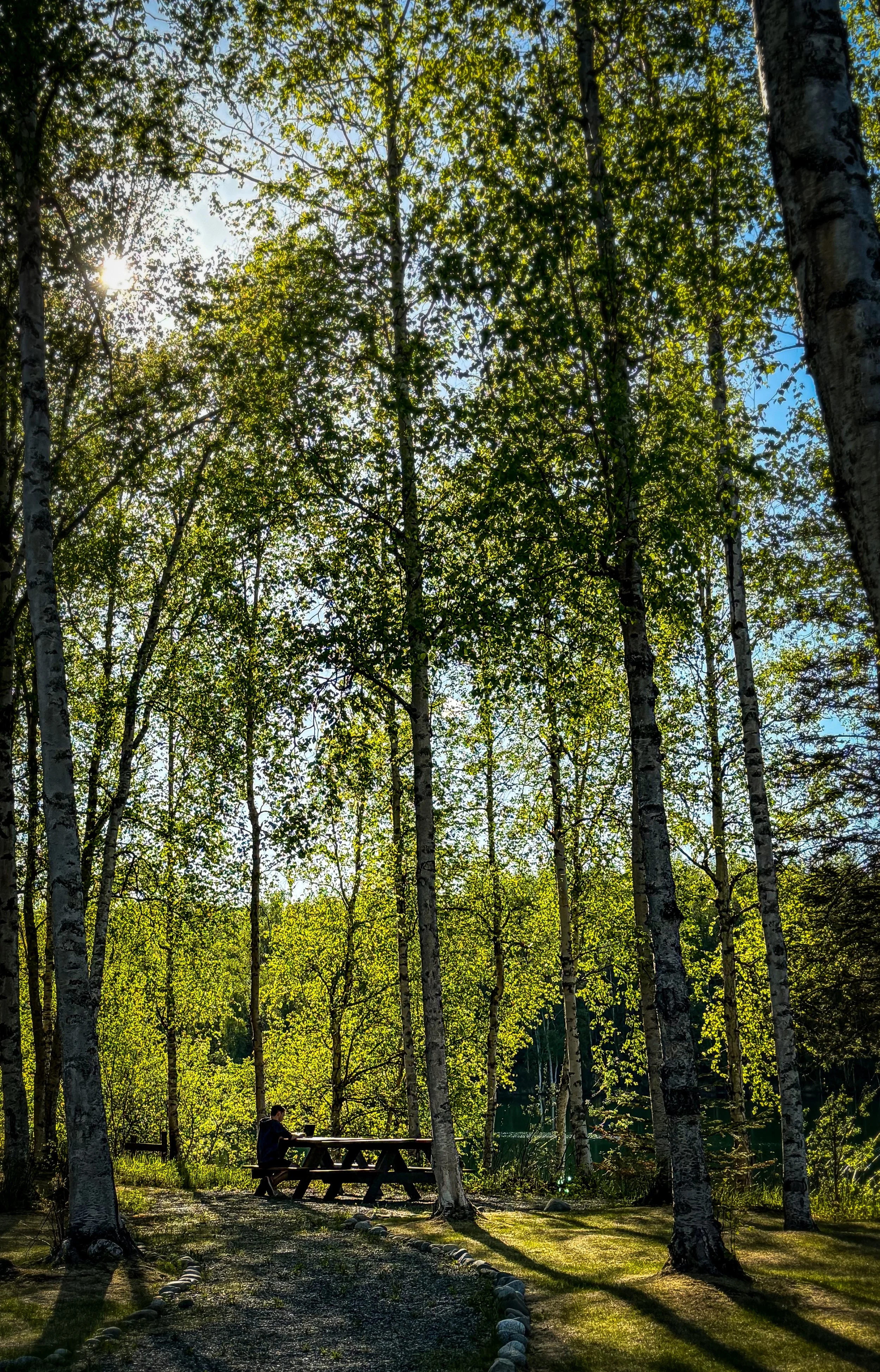 New Growth