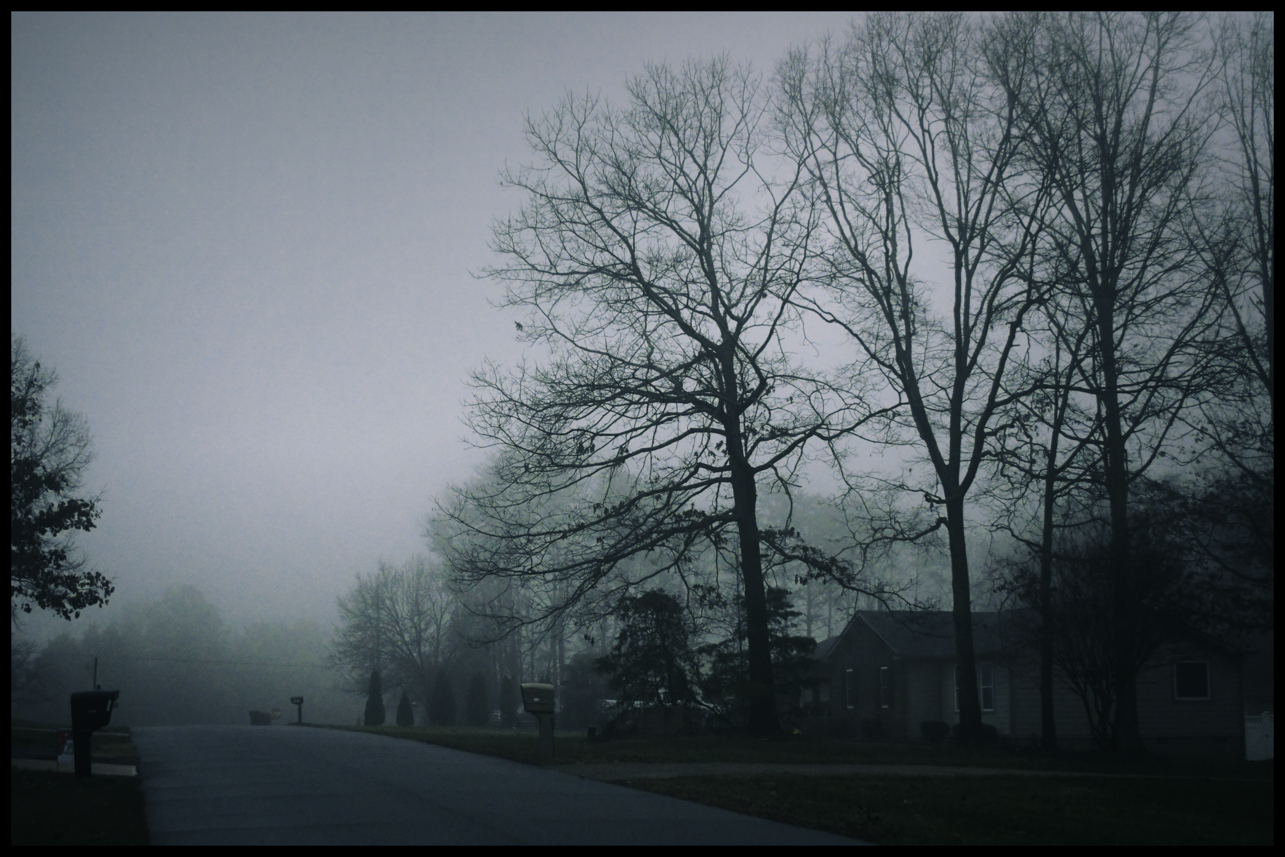 A foggy suburban neighborhood street with leafless trees, houses, and mailboxes visible in the distance.
