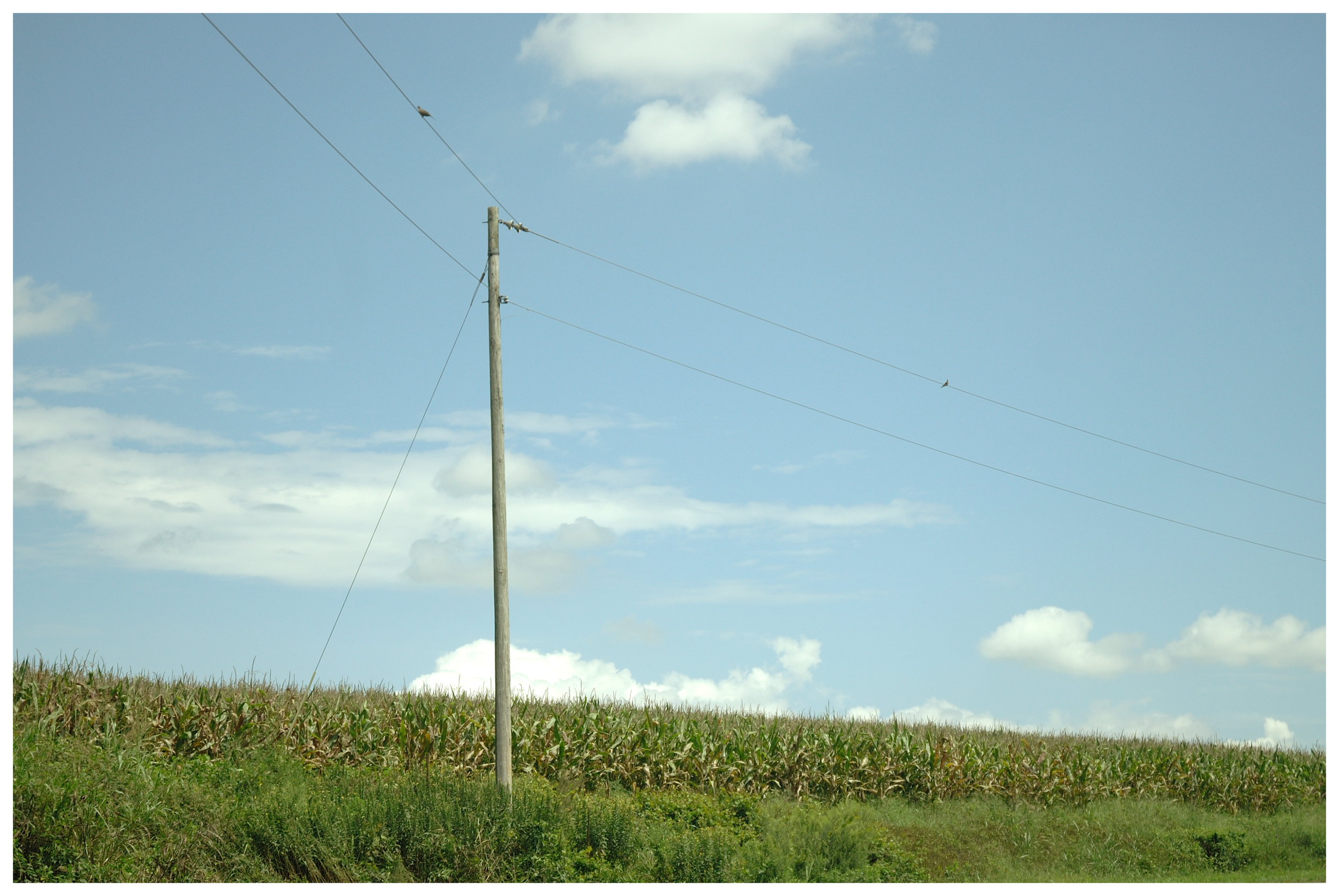 _DSC0470_248-fotor-2025082512718.png