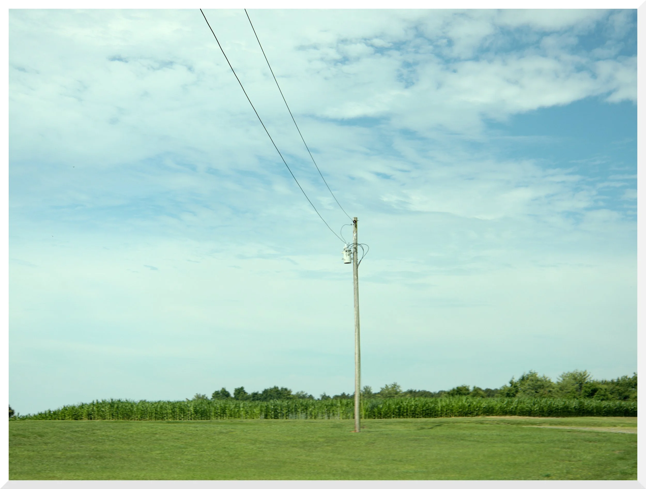_MW18485_668_small.JPG