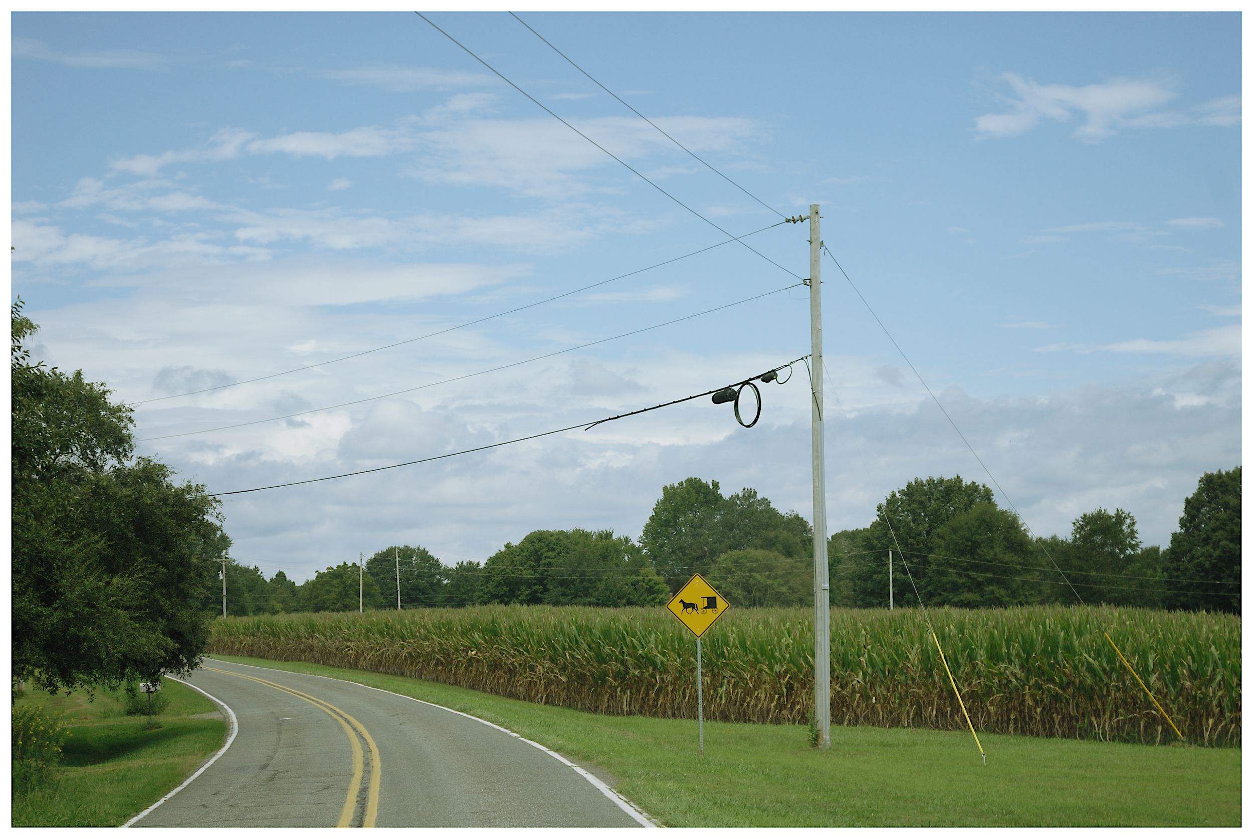 _DSC0437_232-fotor-2025082416188.png