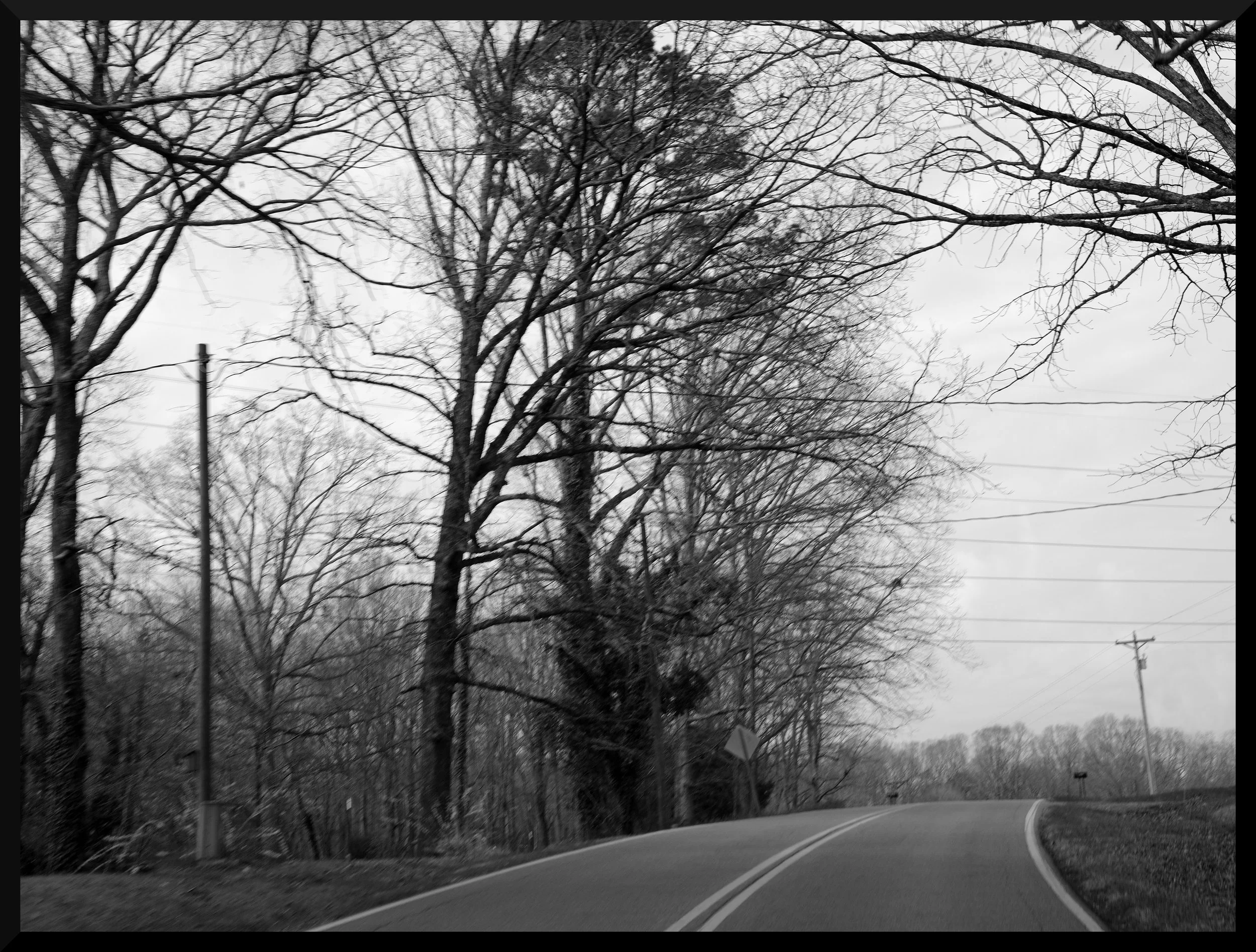 Black and white photograph of leafless trees along a curved country road, with power lines overhead and a utility pole beside the road, under an overcast sky.