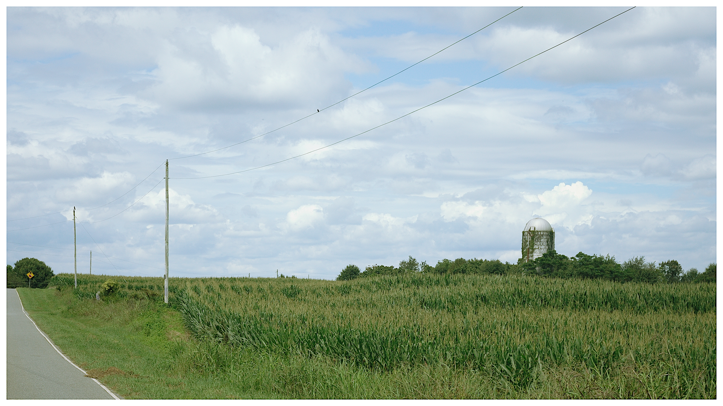 _DSC0478_236-fotor-20250824165023.png
