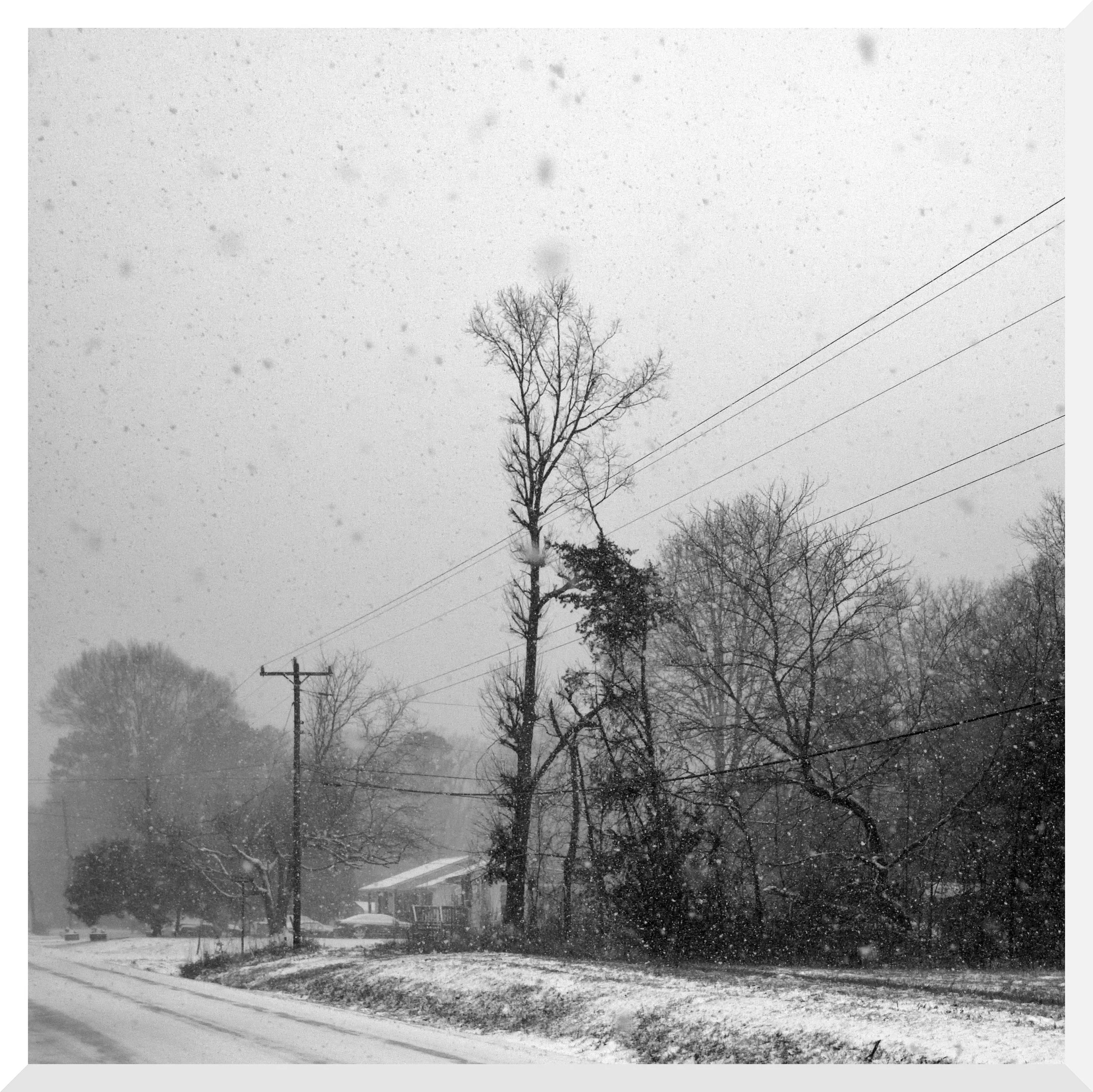 Snowfall on a residential street with trees and power lines, overcast sky, and snow-covered ground.