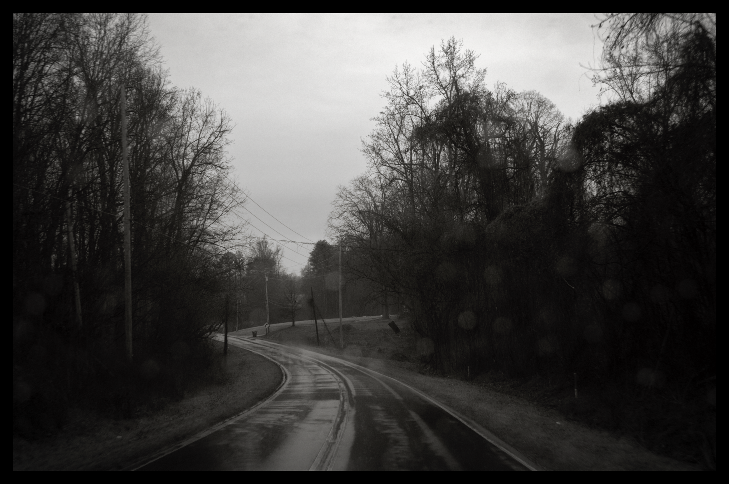 A winding wet road surrounded by leafless trees on a overcast day