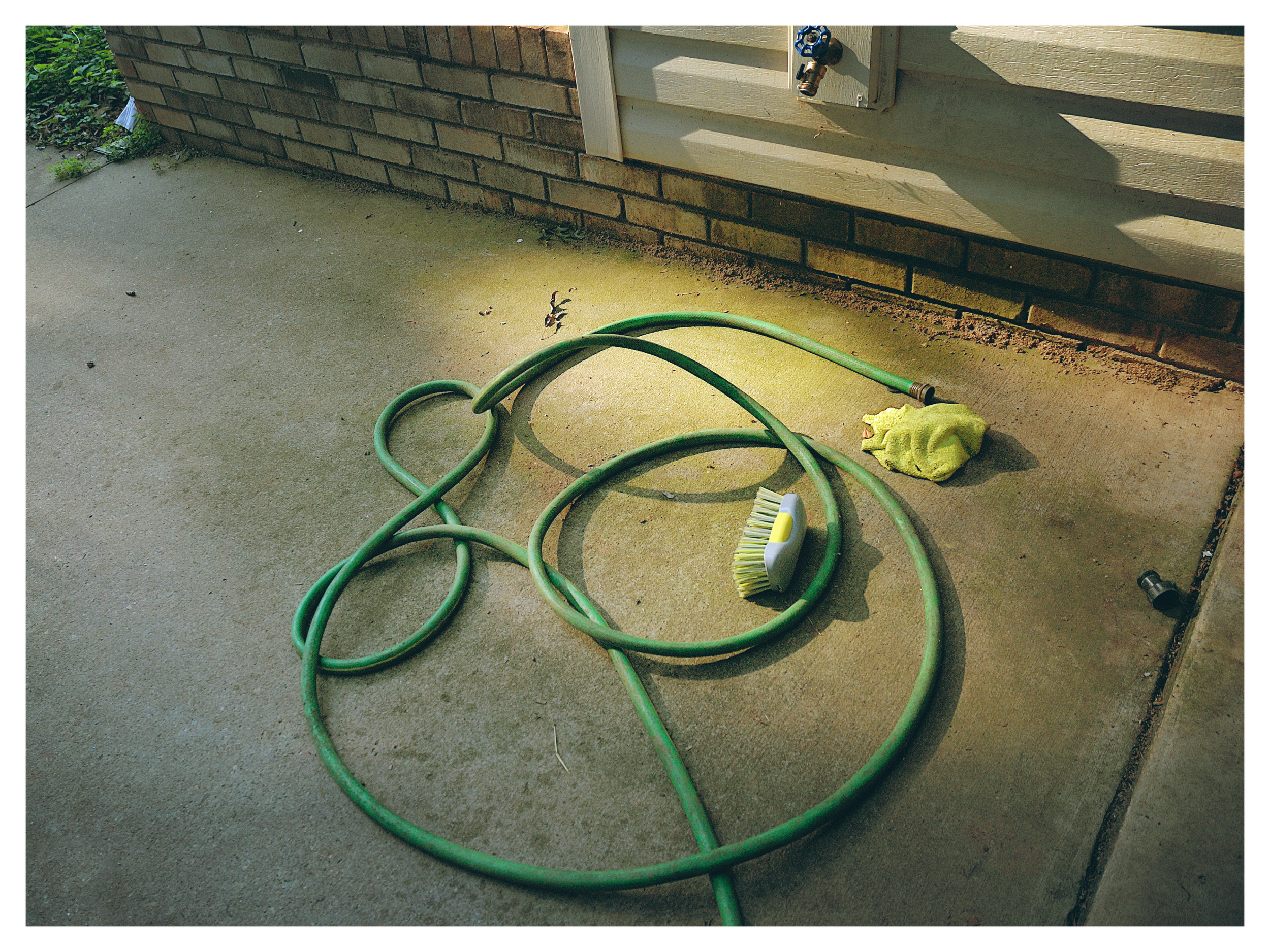 Hose. Son left it like that after washing his car. Reminds me of Eggleston. 