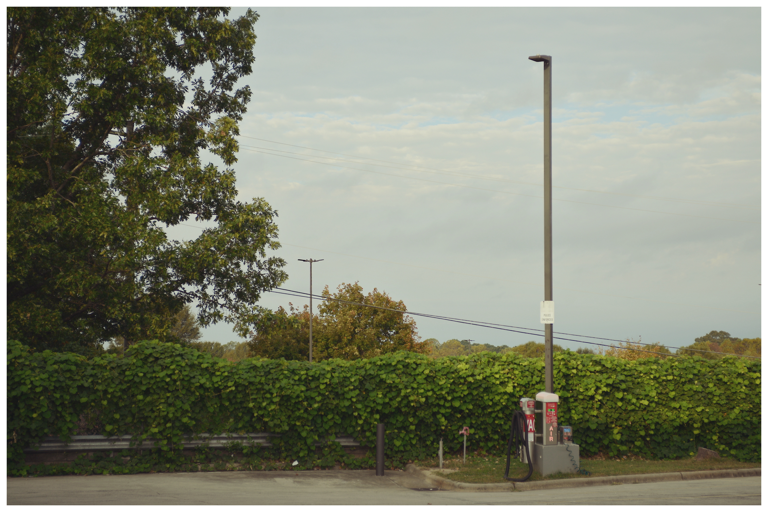 A gas station with a gas pump and sign, surrounded by green leafy bushes and trees, with a cloudy sky overhead.