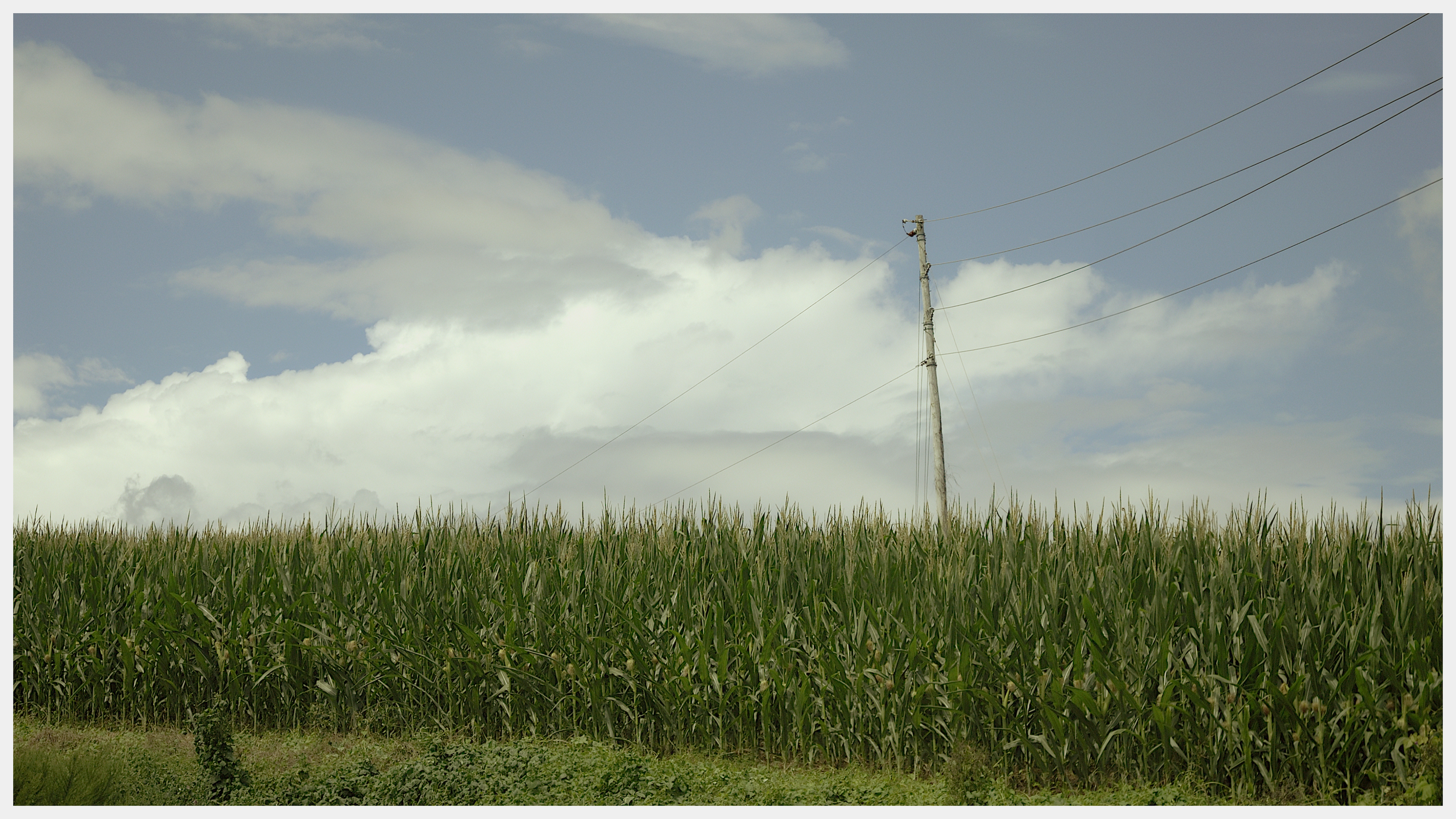 _DSC0473_235-fotor-20250825121426.png