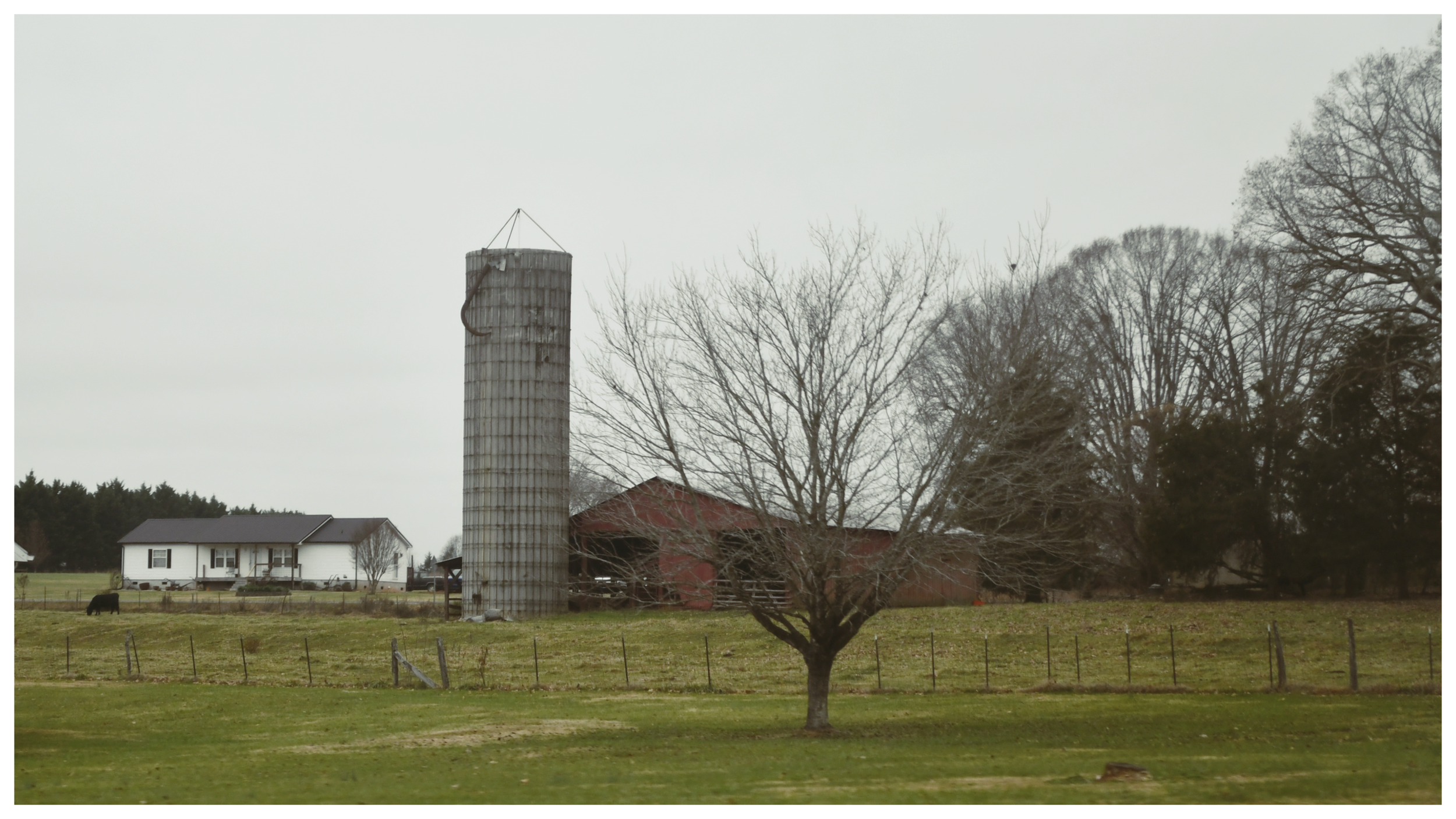 _DSC1790-fotor-20251130151942.png