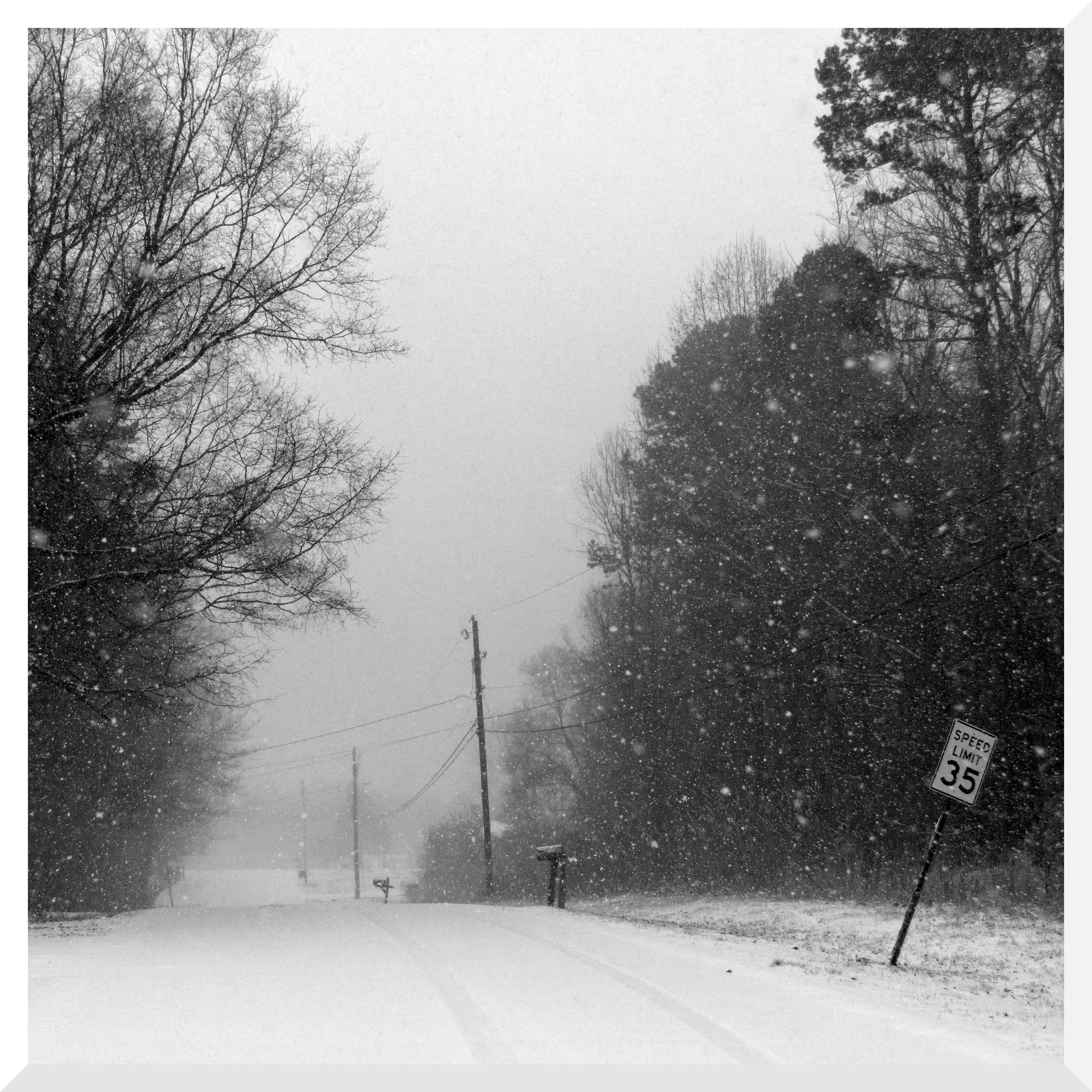 Snow-covered street with fallen sign leaning to the right, snow falling, utility pole in the distance, bare trees on both sides, and a cloudy sky.