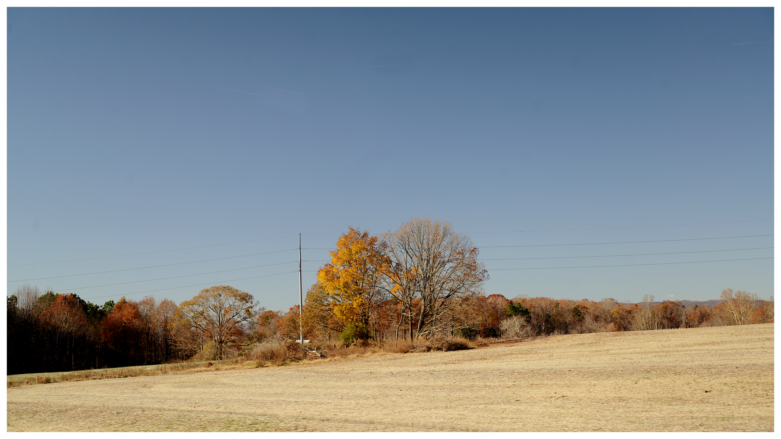 DSC_4249_2-fotor-20260101135836.png
