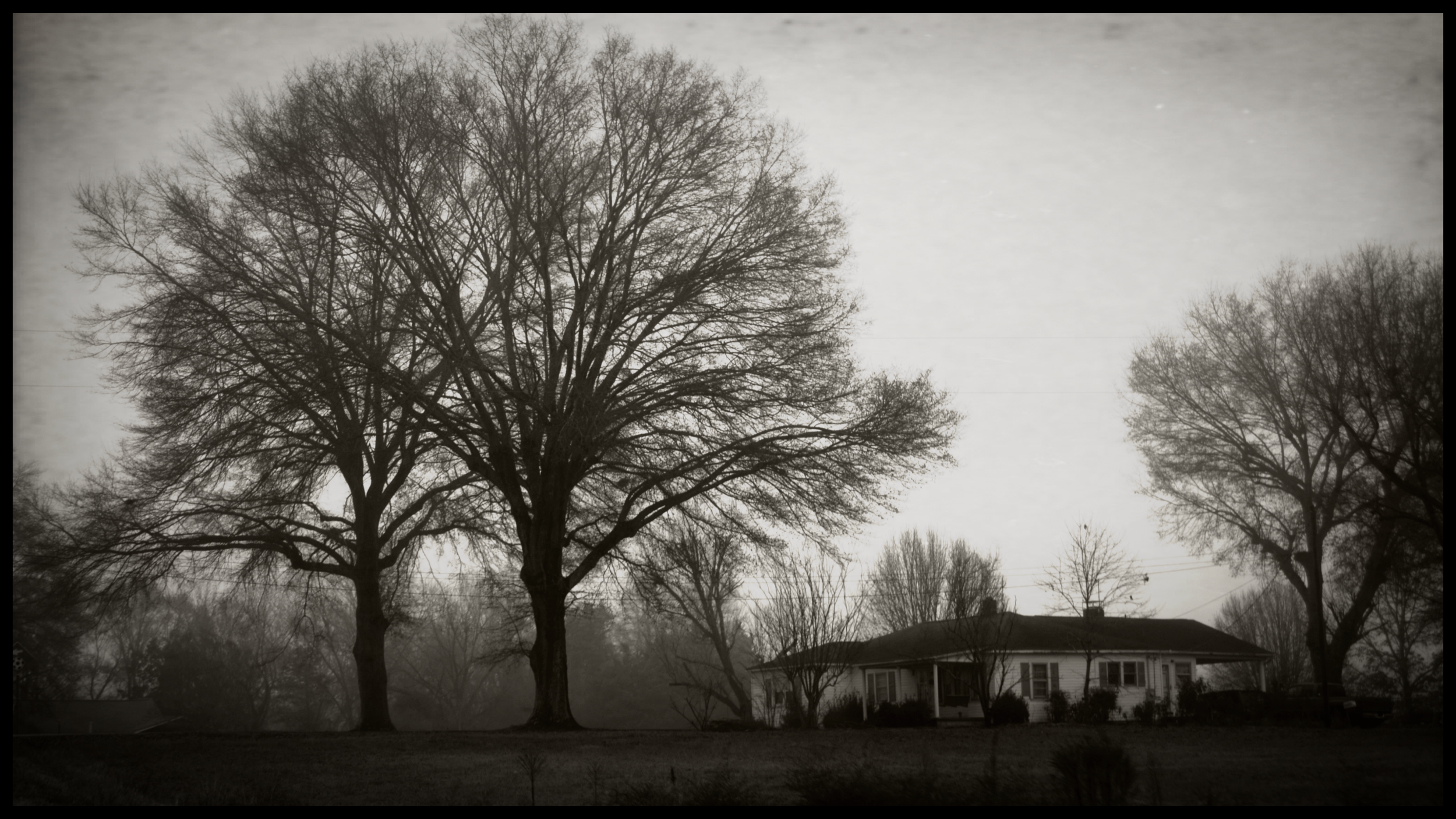 Black and white photo of leafless trees in front of a house with a porch, on a cloudy day.