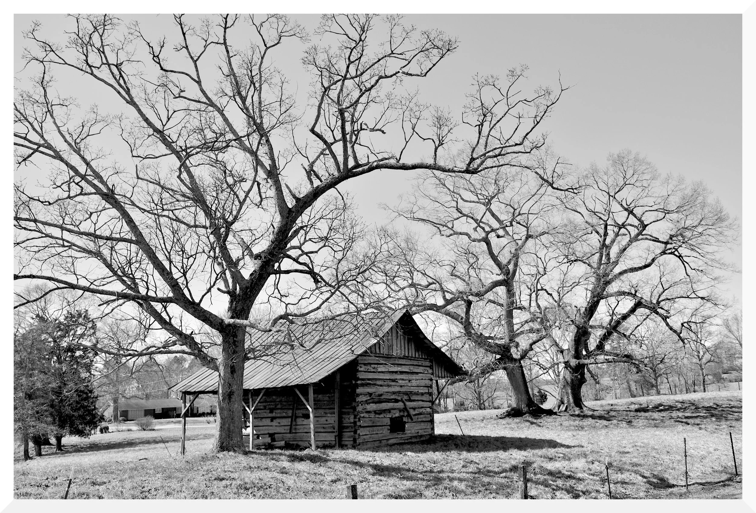 A black and white photograph of leafless trees and a rustic wooden house with a metal roof in a rural landscape.