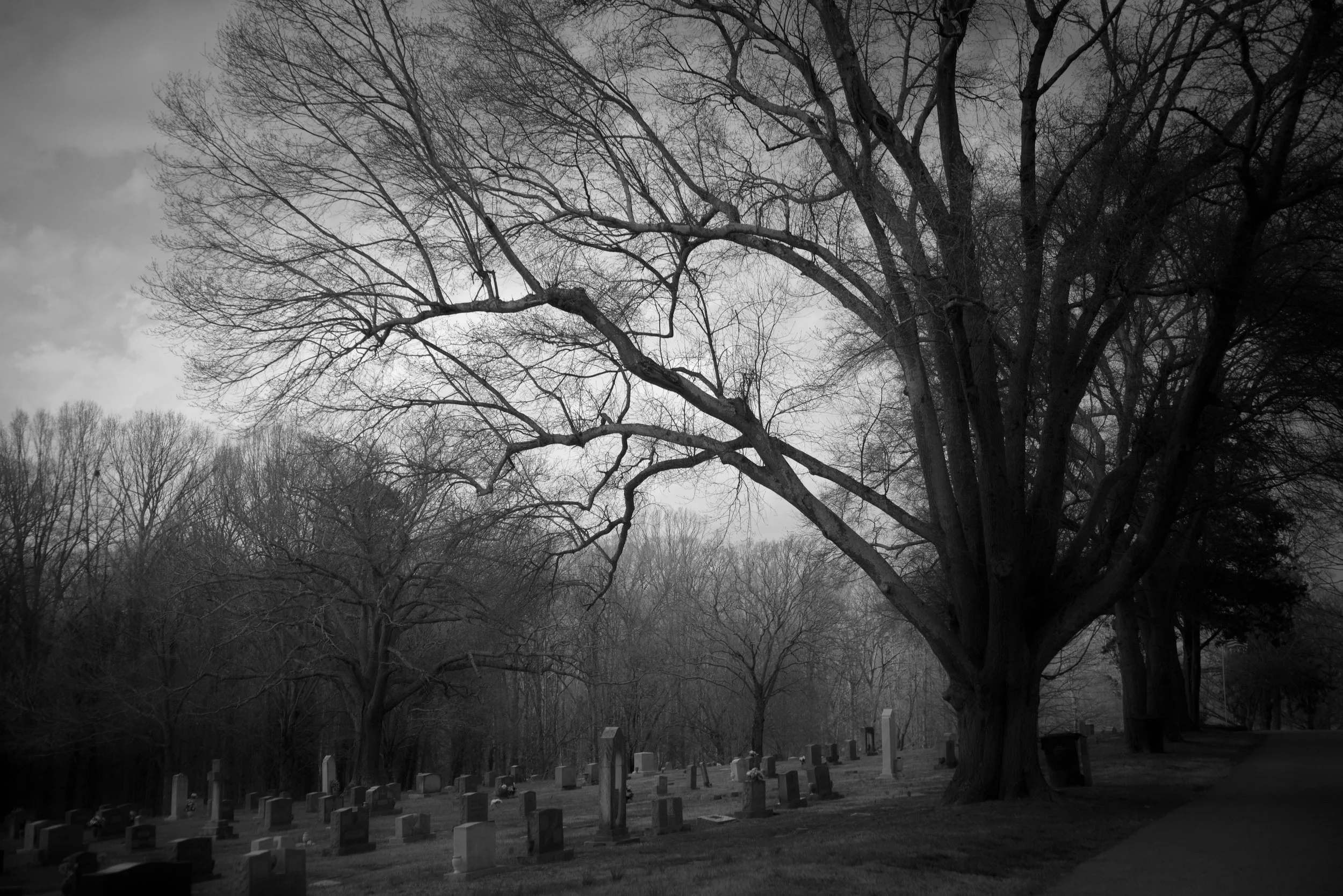Black and white photo of leafless trees in a graveyard with cemetery headstones, surrounded by a dark, overcast sky.