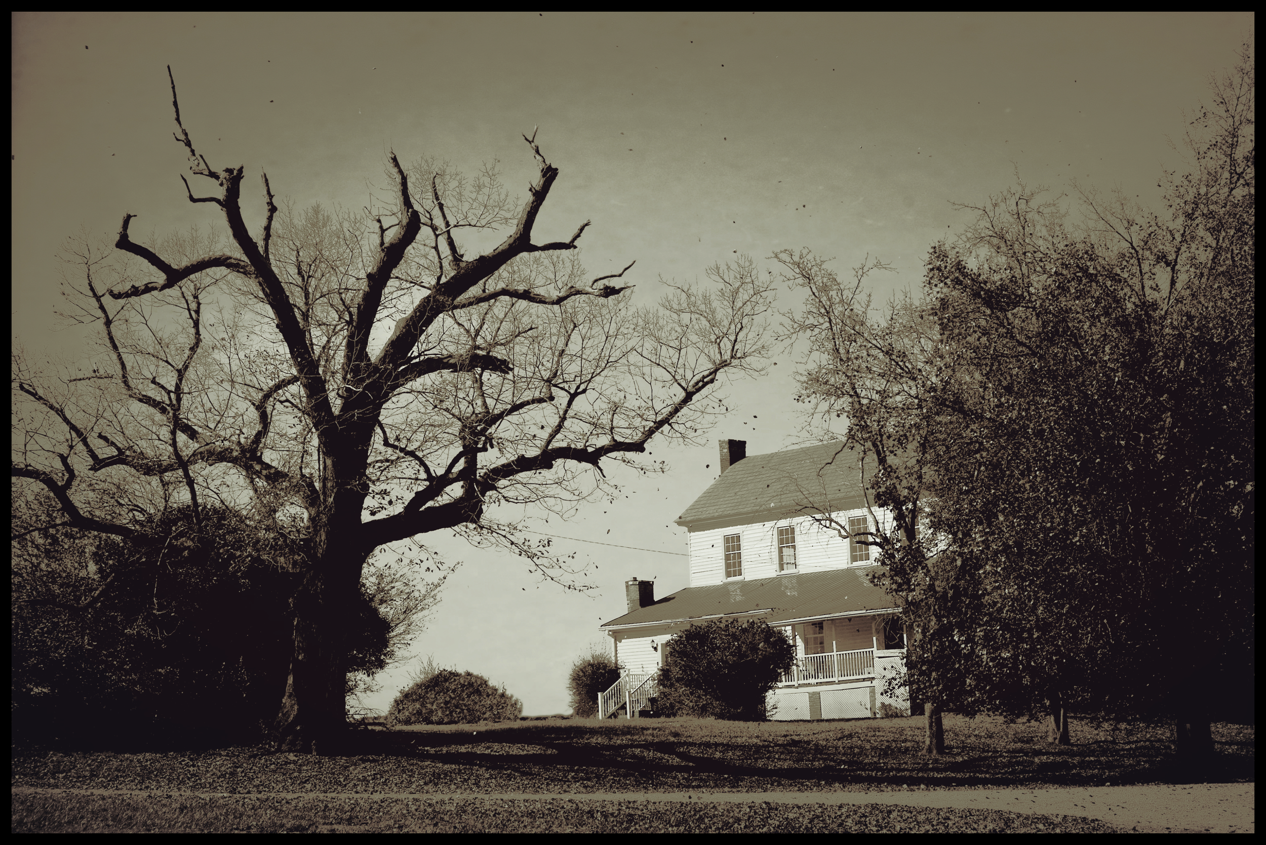 A house with a porch and a chimney, surrounded by leafless trees, under a cloudy sky.