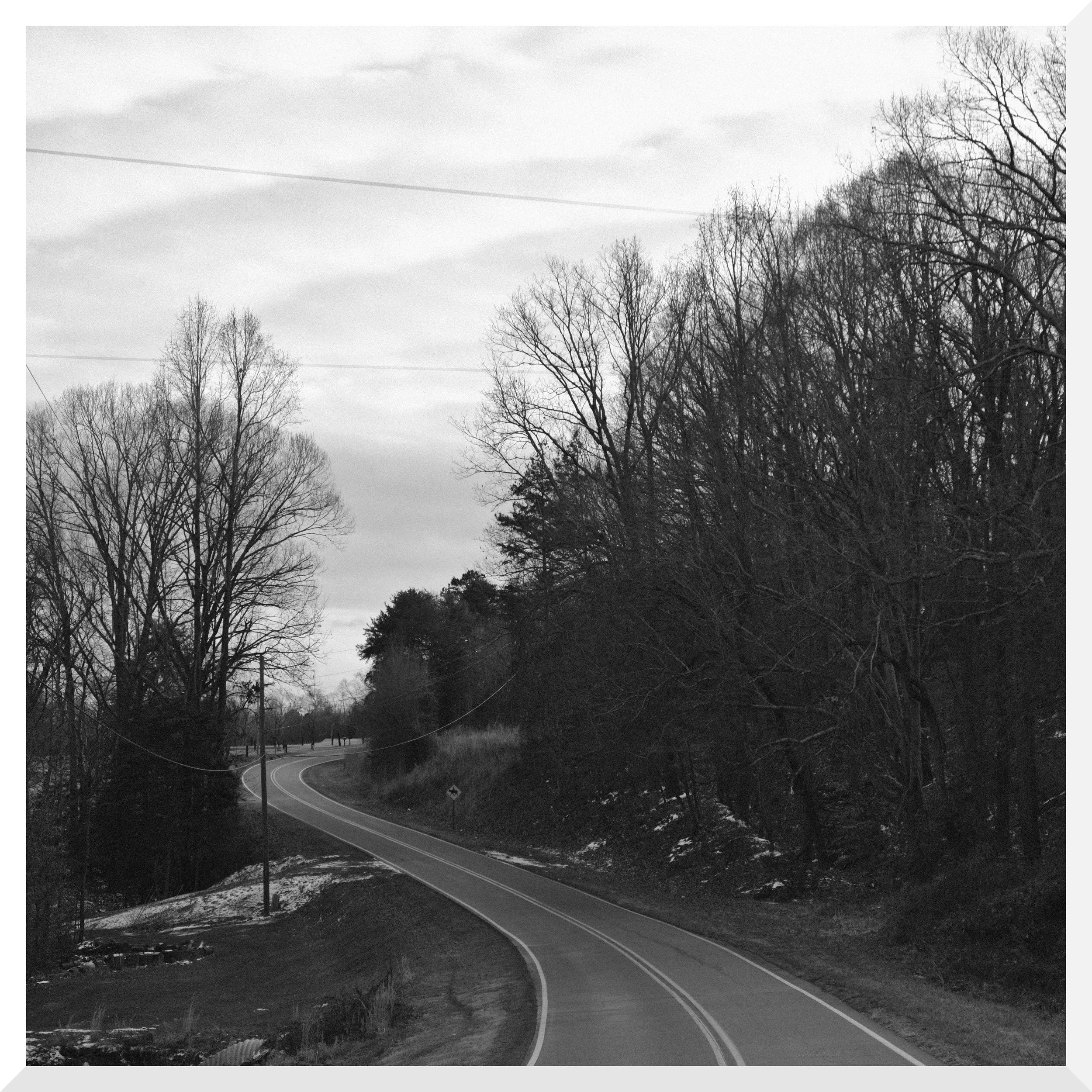 Black and white photo of a winding road surrounded by leafless trees with overcast skies.